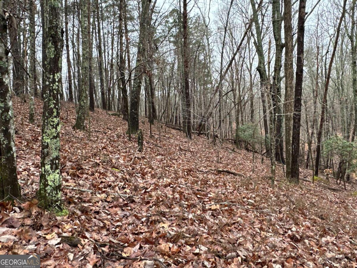 0 Paris Mountain Road Property Photo 18
