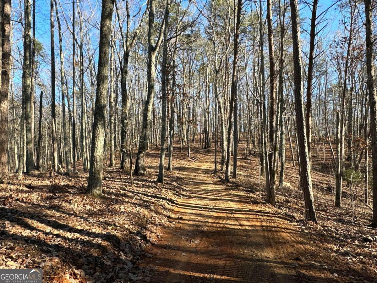 0 Paris Mountain Road Property Photo 19
