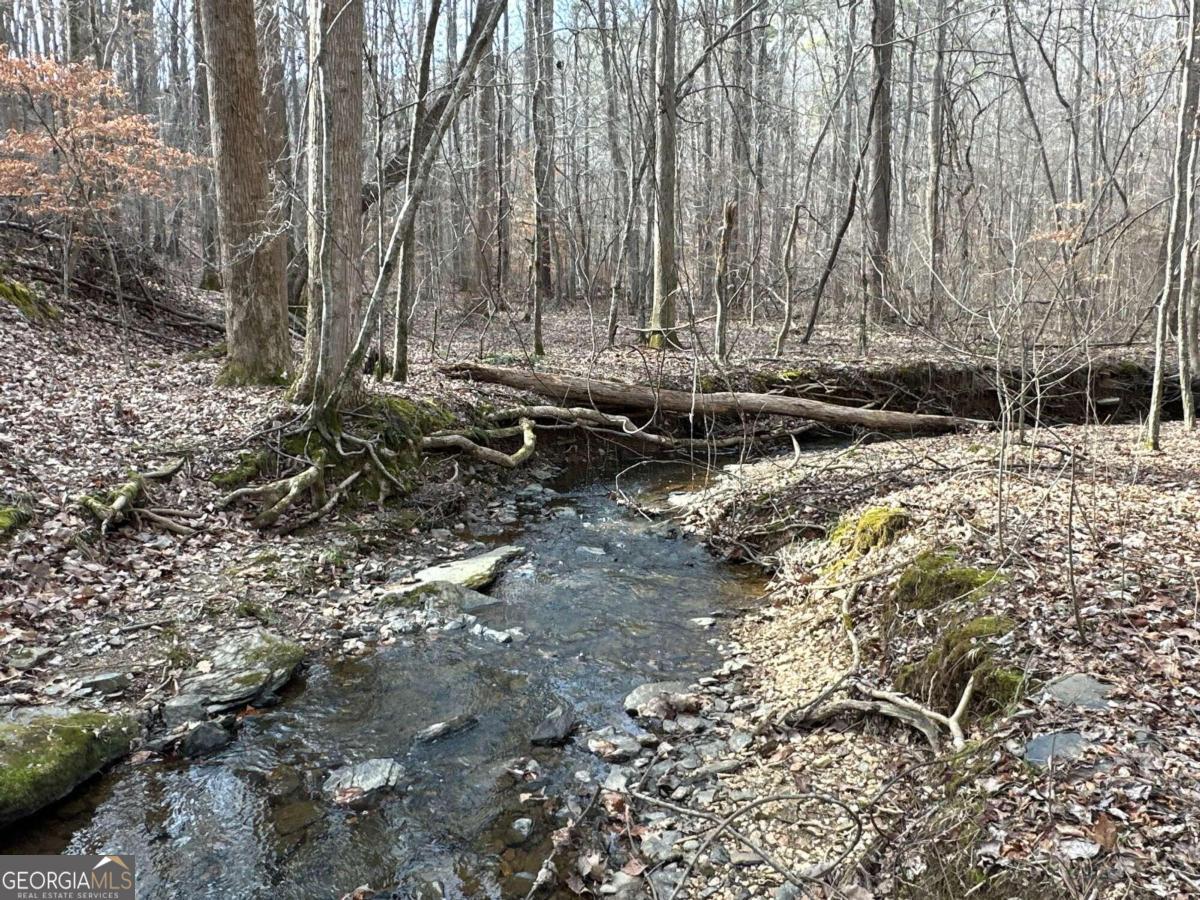 0 Paris Mountain Road Property Photo 20