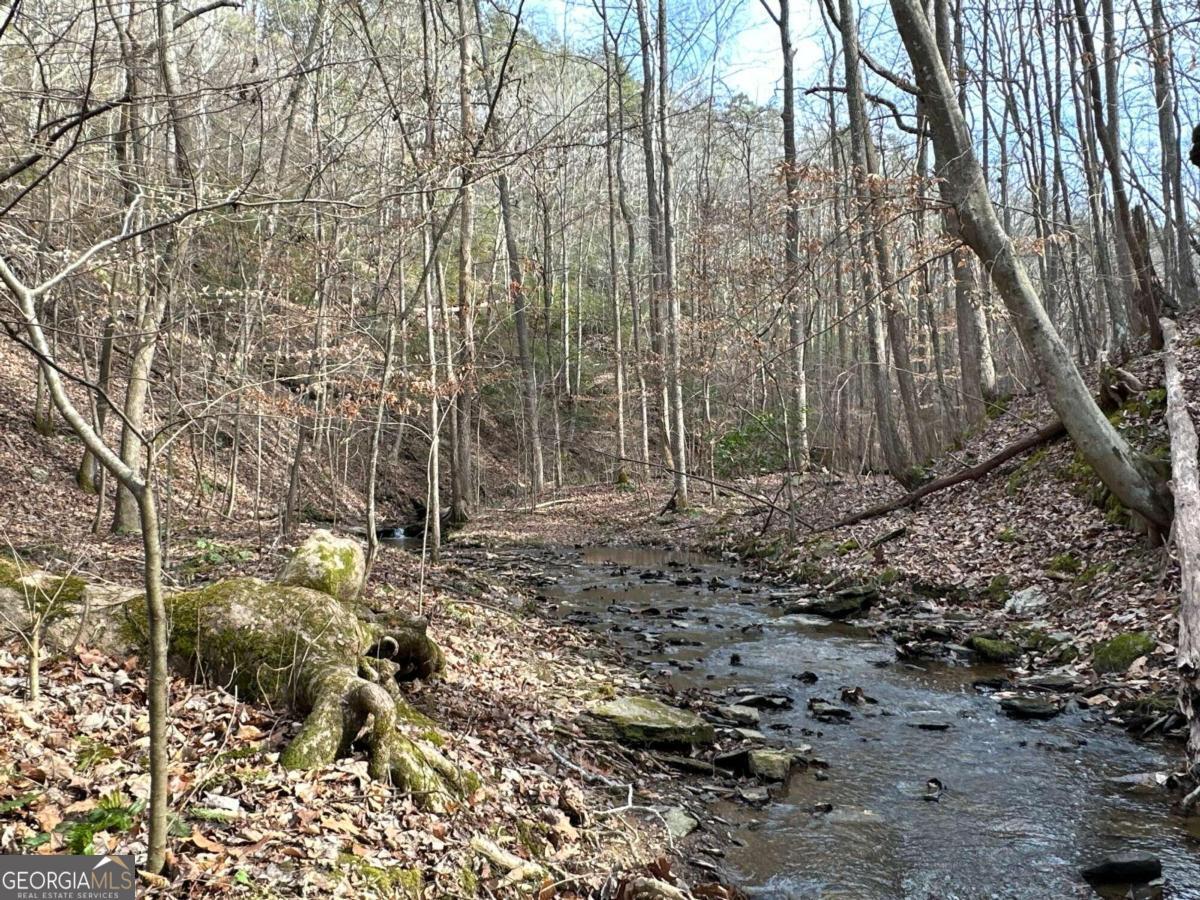 0 Paris Mountain Road Property Photo 21