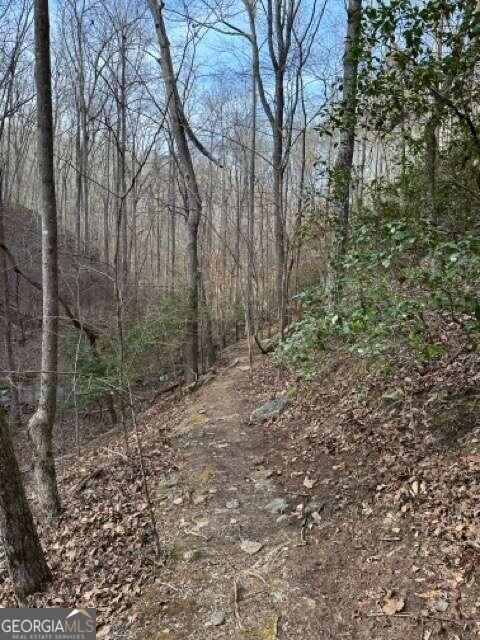 0 Paris Mountain Road Property Photo 22