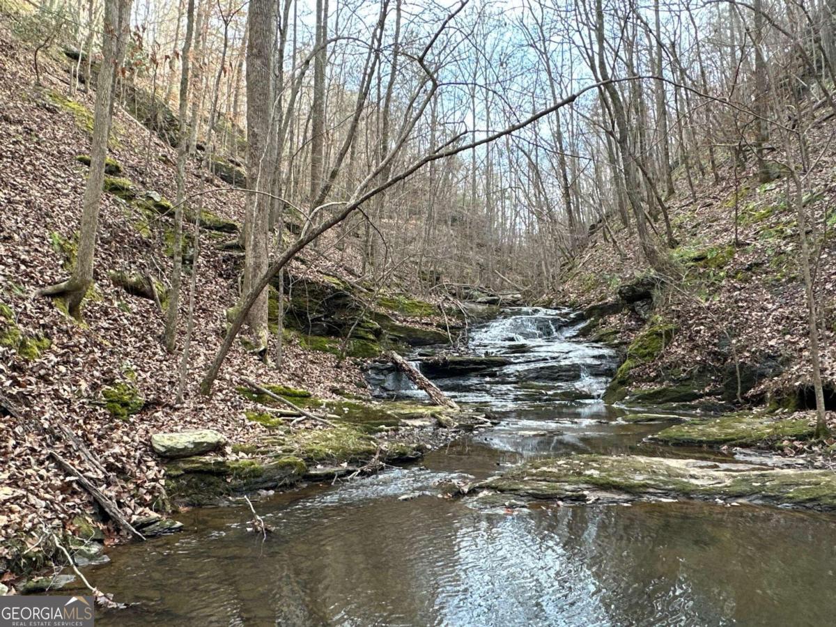 0 Paris Mountain Road Property Photo 23