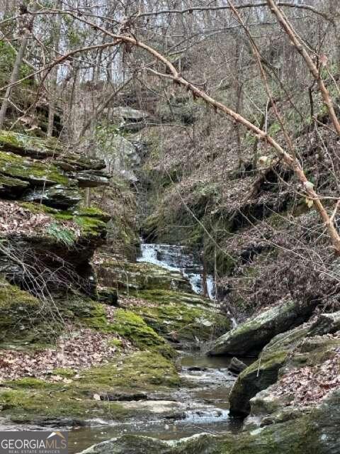0 Paris Mountain Road Property Photo 24