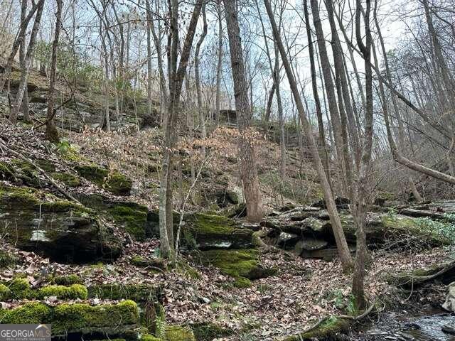 0 Paris Mountain Road Property Photo 25