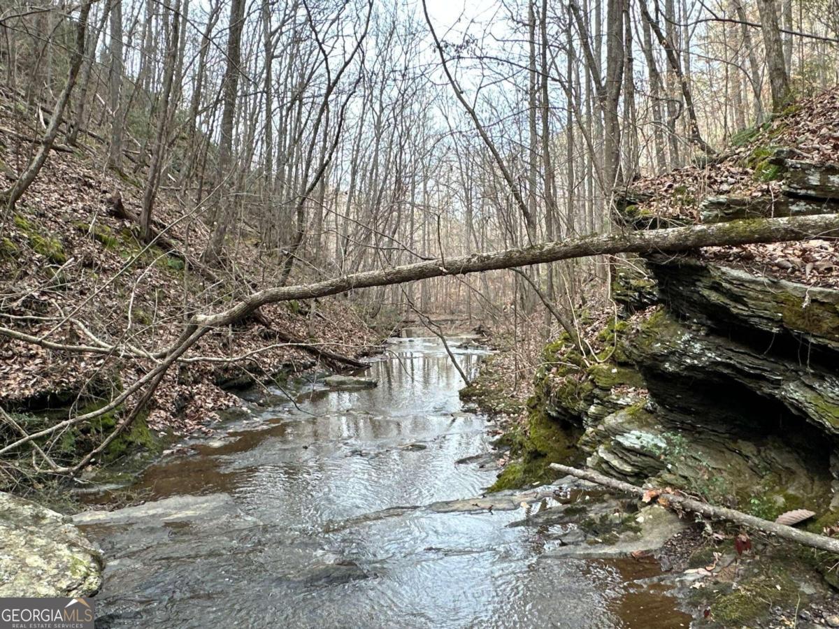 0 Paris Mountain Road Property Photo 26