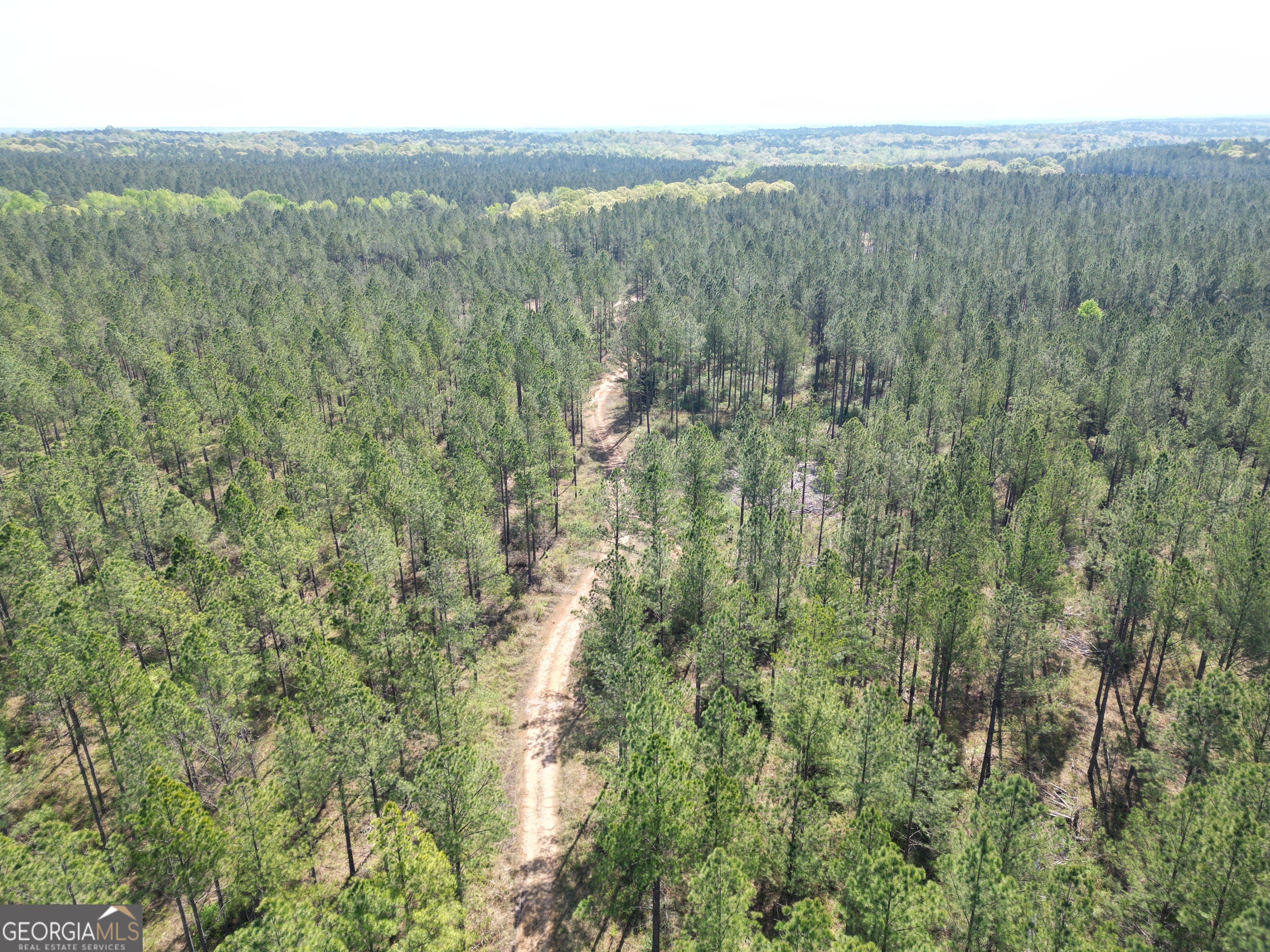 0 Chambers County Rd 266 Property Photo