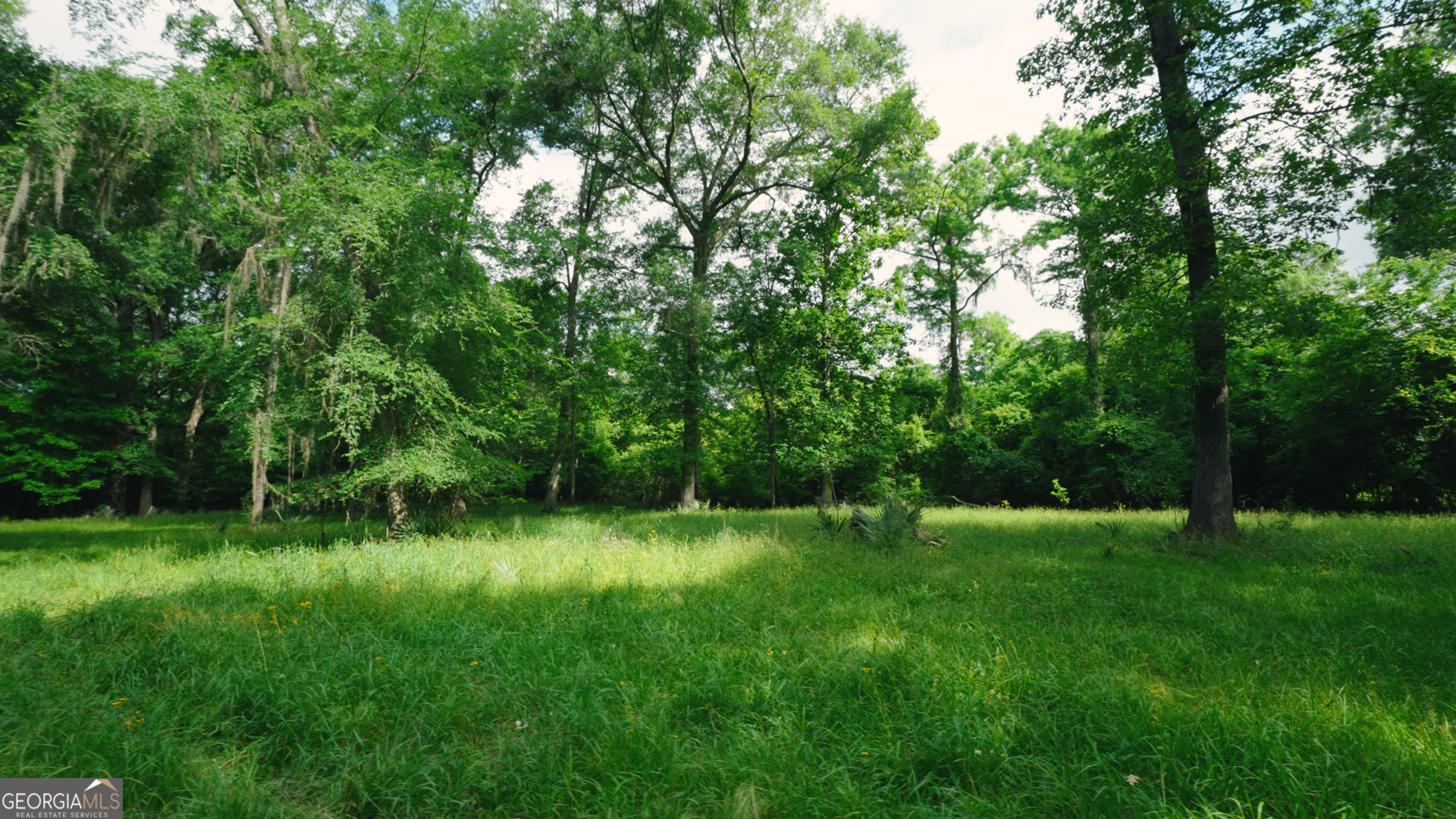 0 East River Road Property Photo 4
