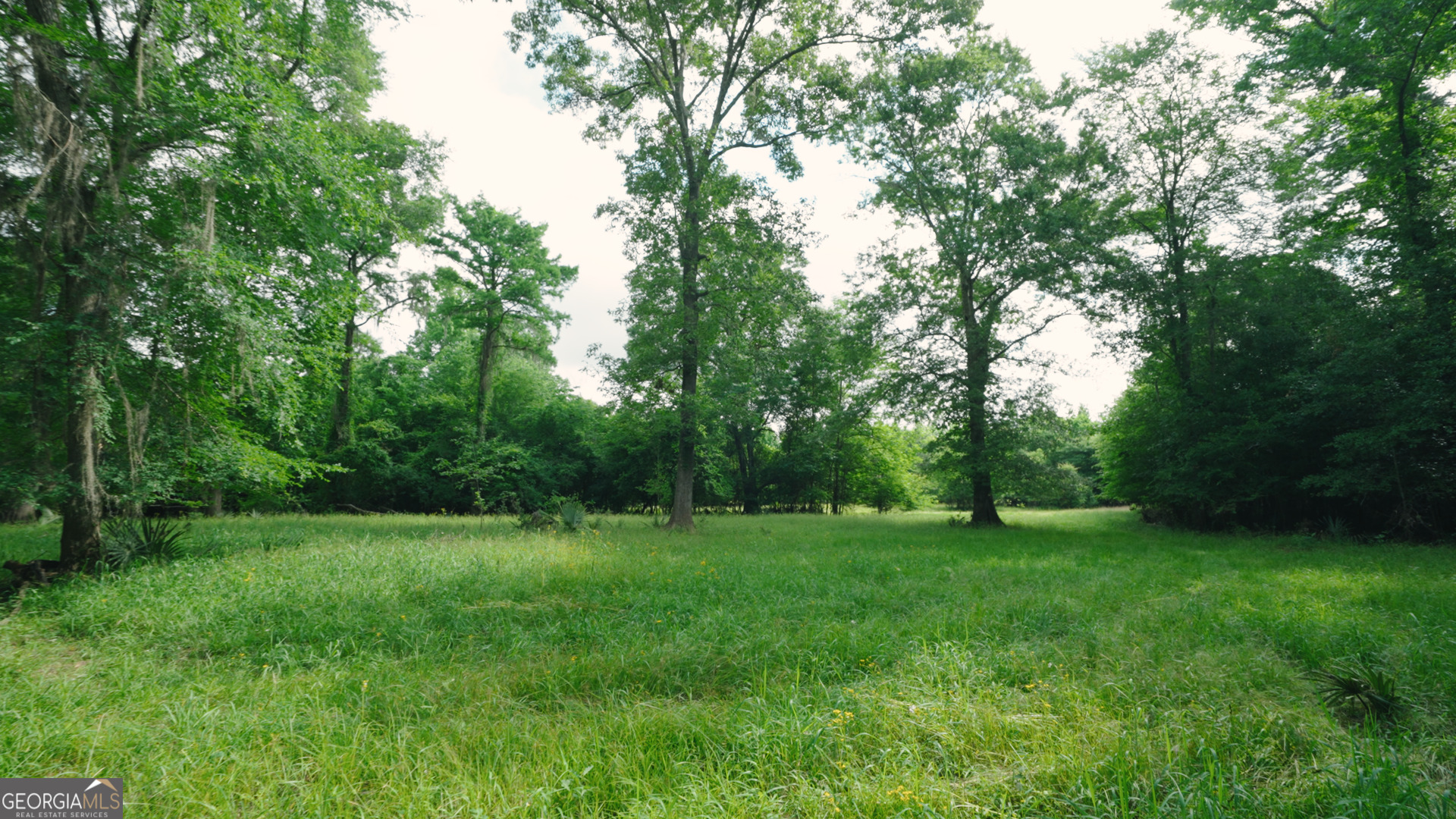 0 East River Road Property Photo 5