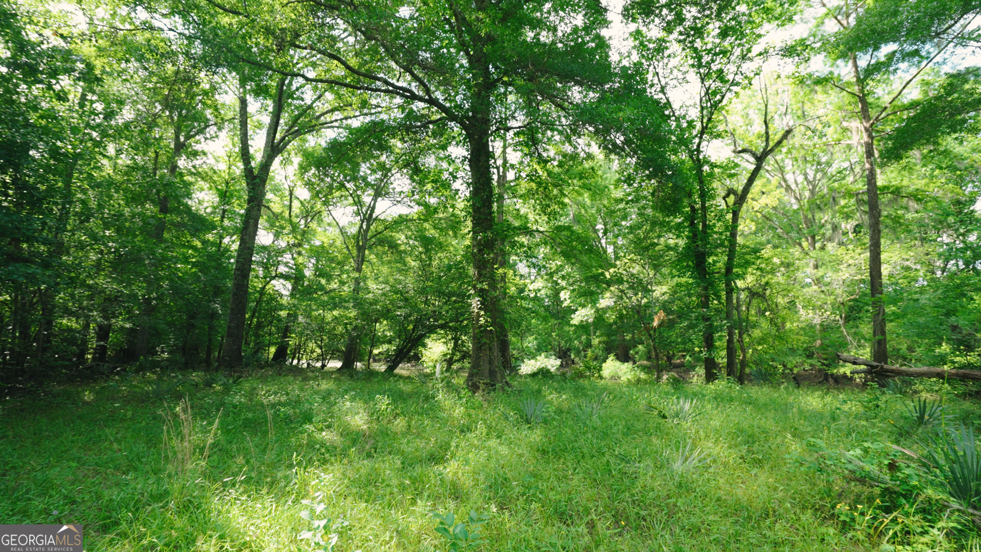 0 East River Road Property Photo 6