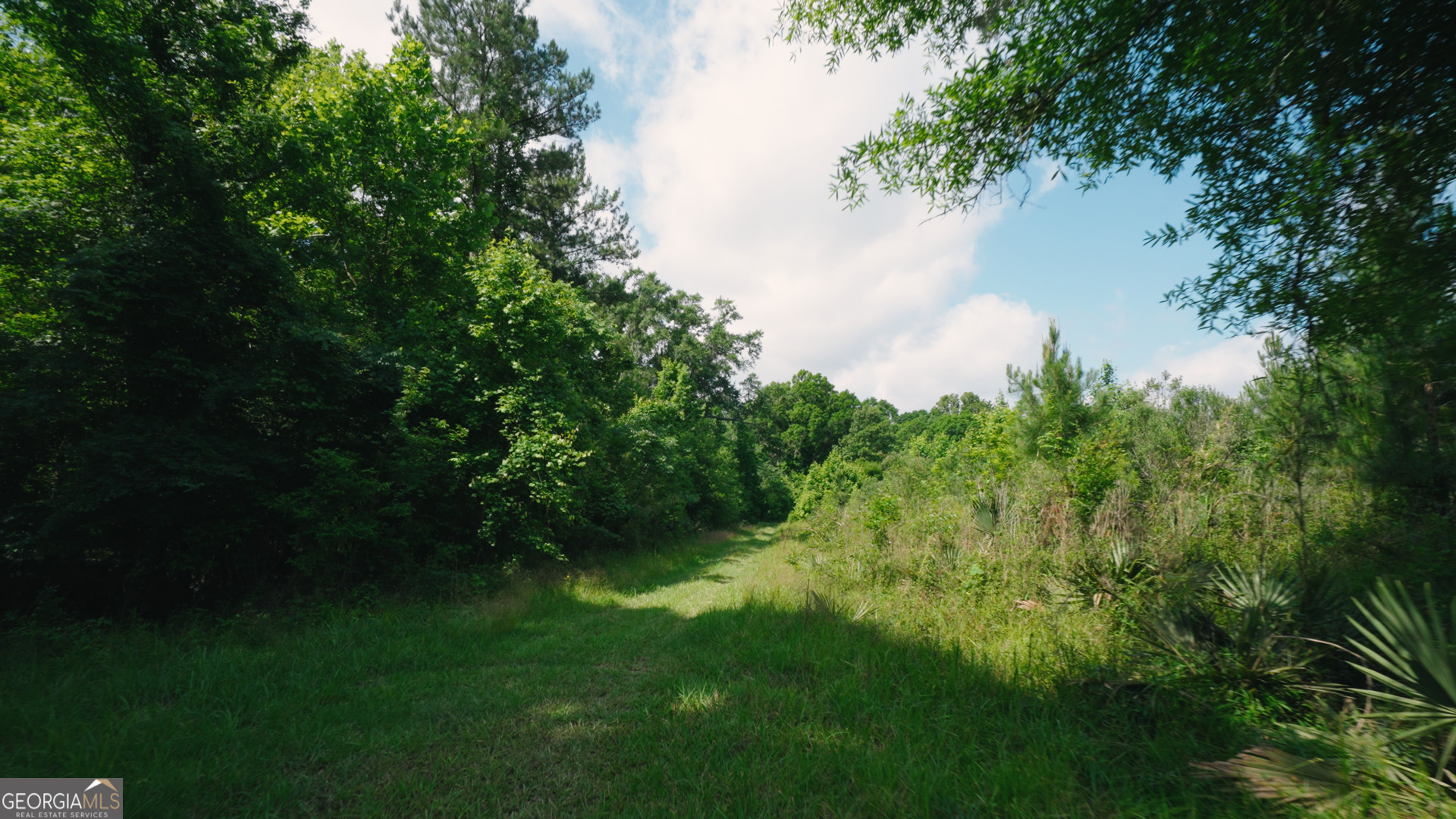 0 East River Road Property Photo 12