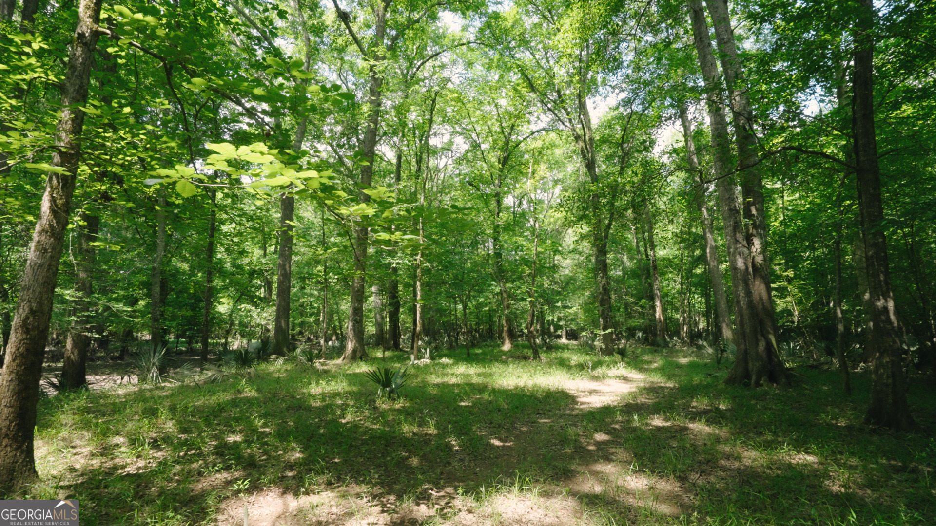 0 East River Road Property Photo 13