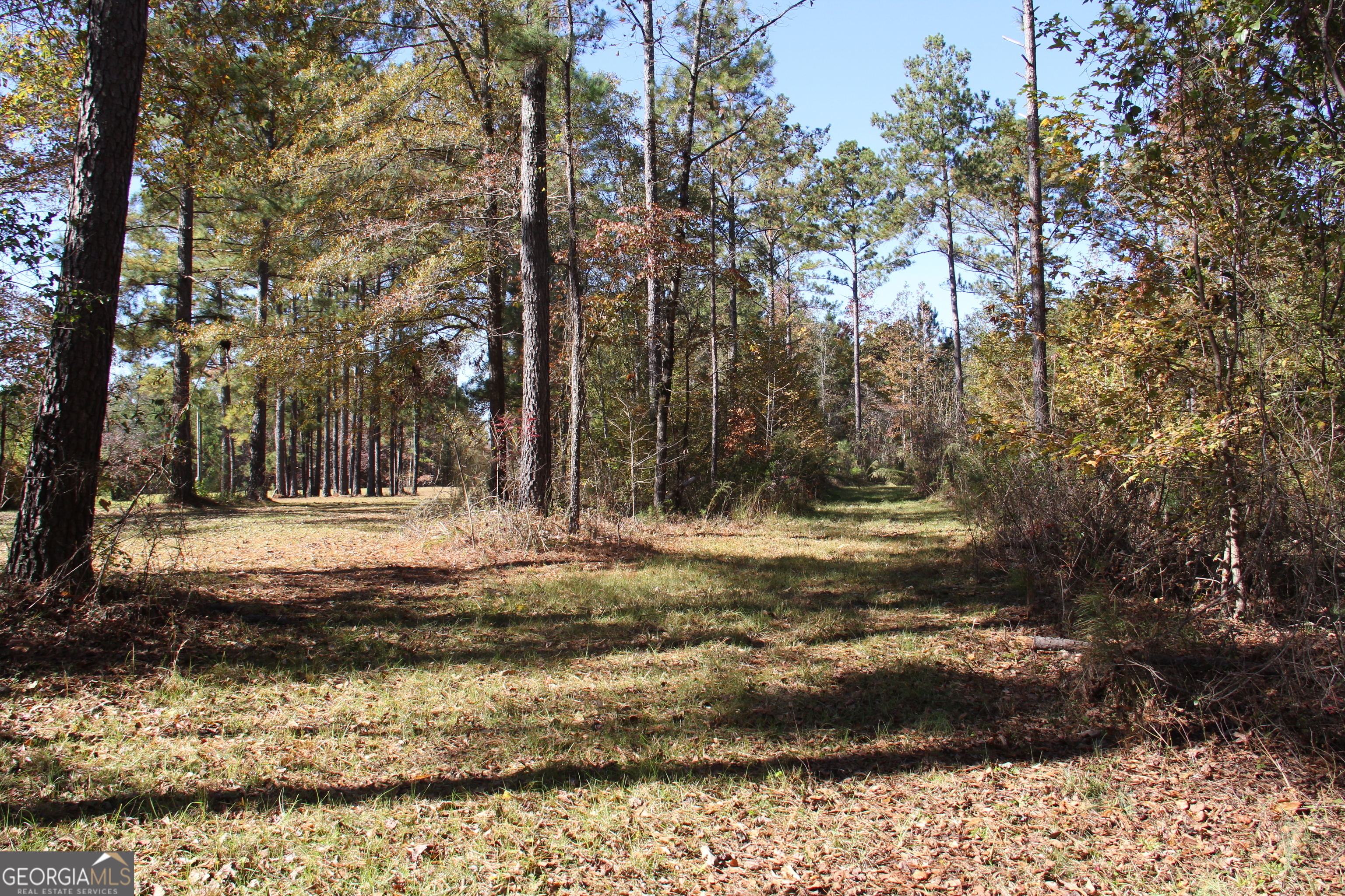 504 Jenkins Road Property Photo 3