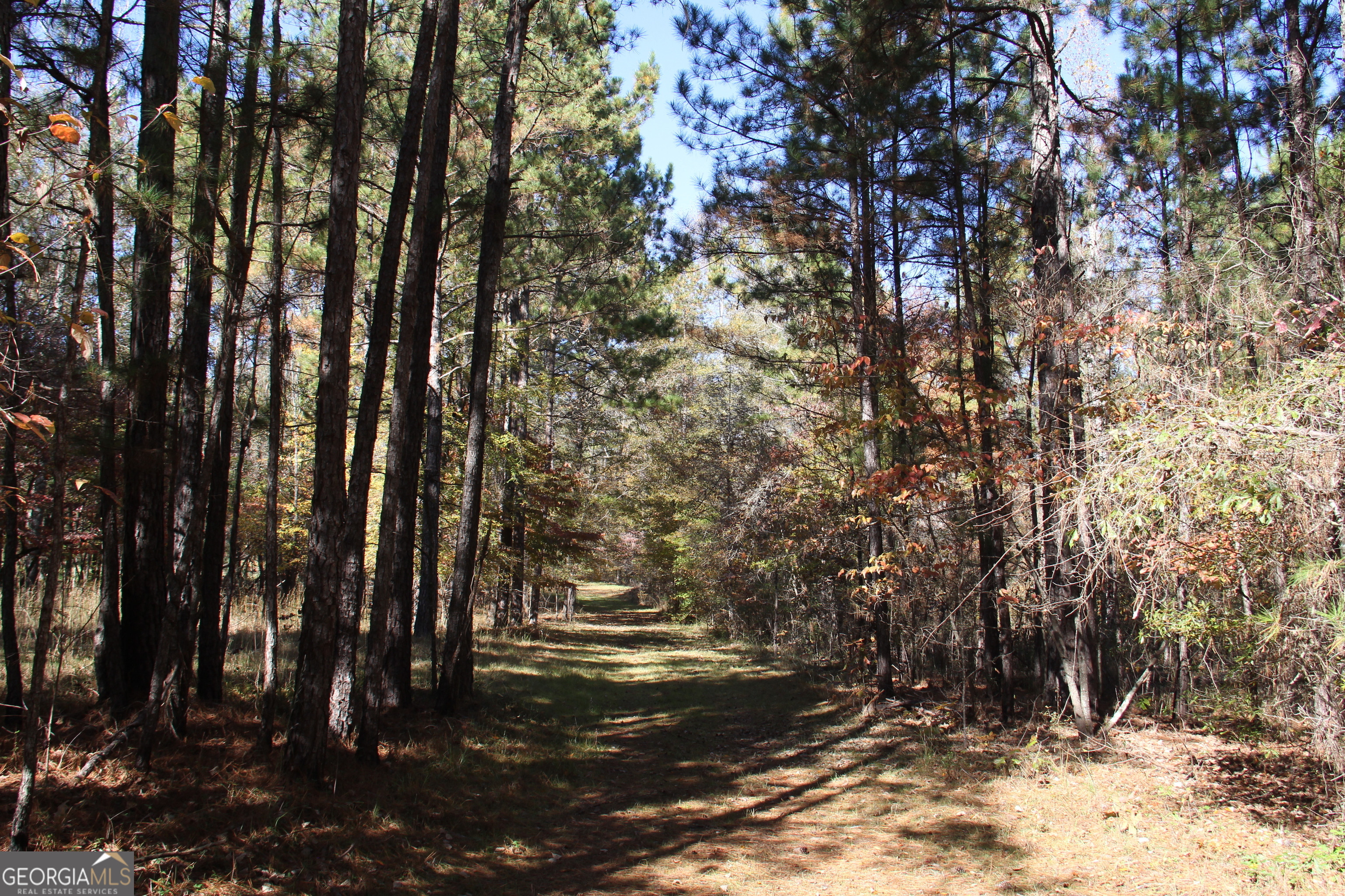 504 Jenkins Road Property Photo 9