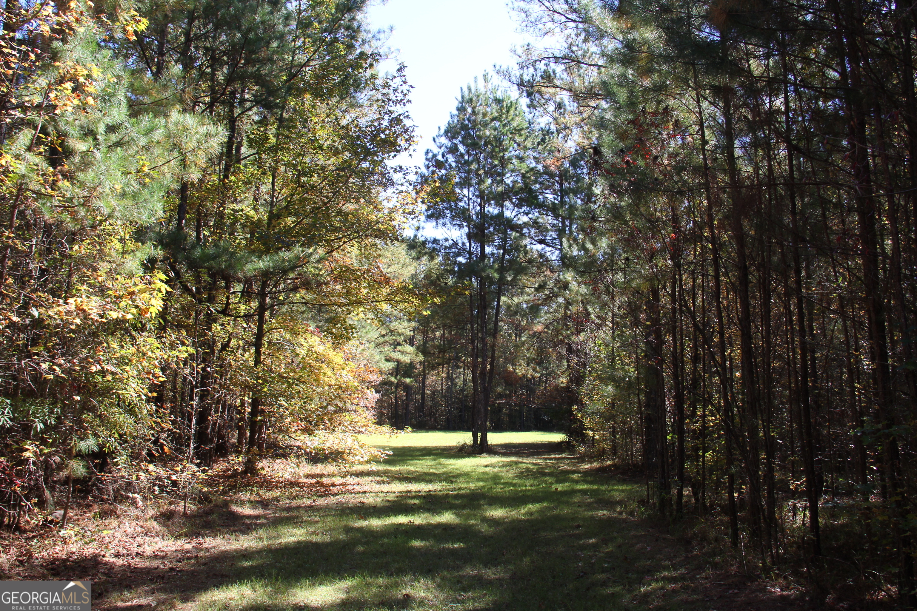 504 Jenkins Road Property Photo 10