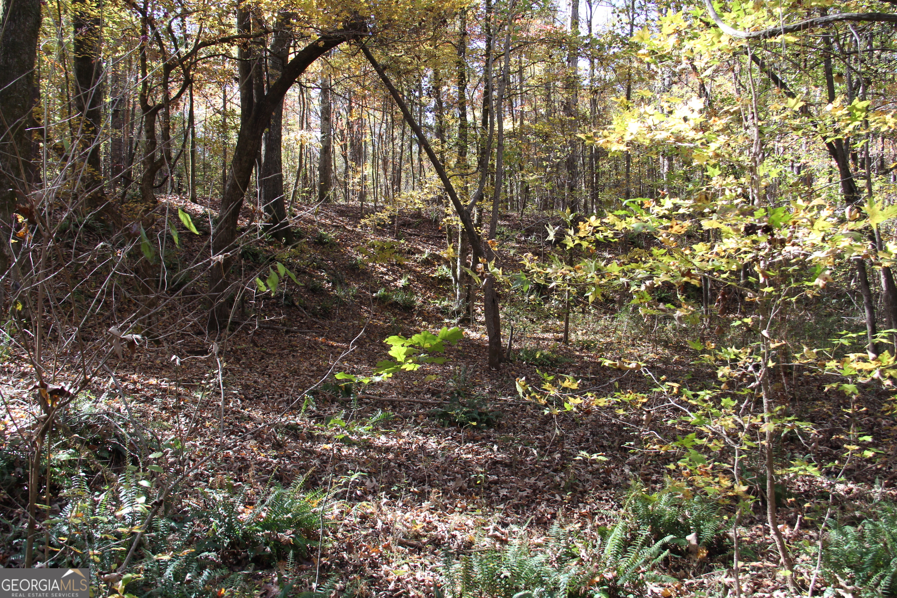 504 Jenkins Road Property Photo 11