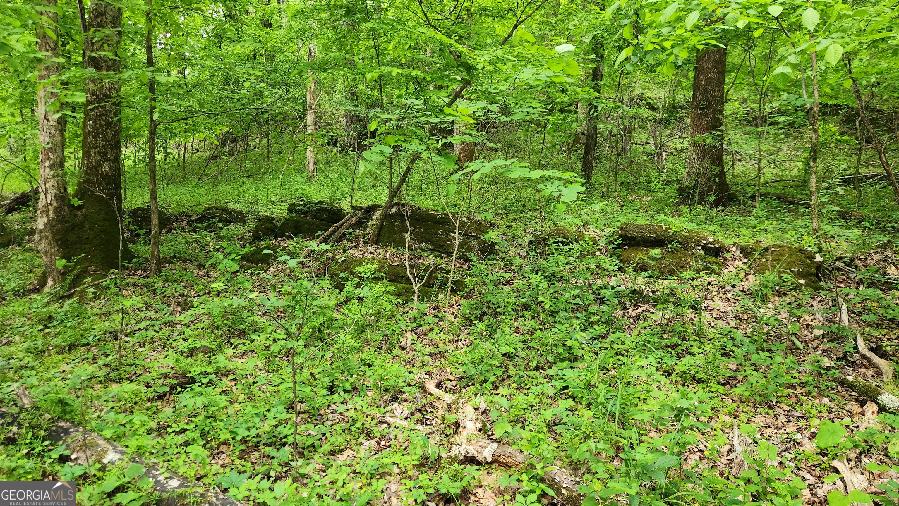 5370 Deerfoot Parkway Property Photo
