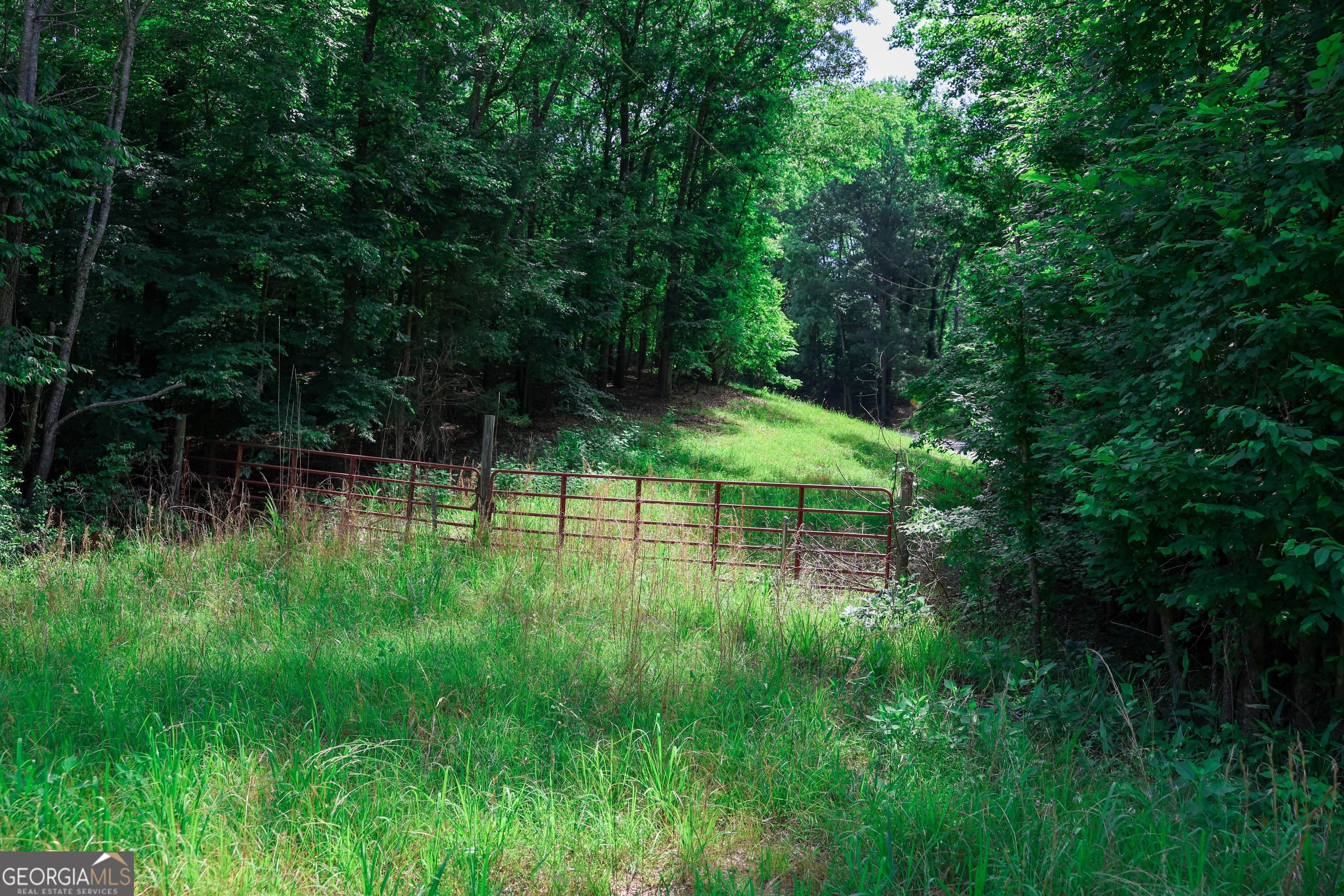 0 Highway 330 Property Photo 3