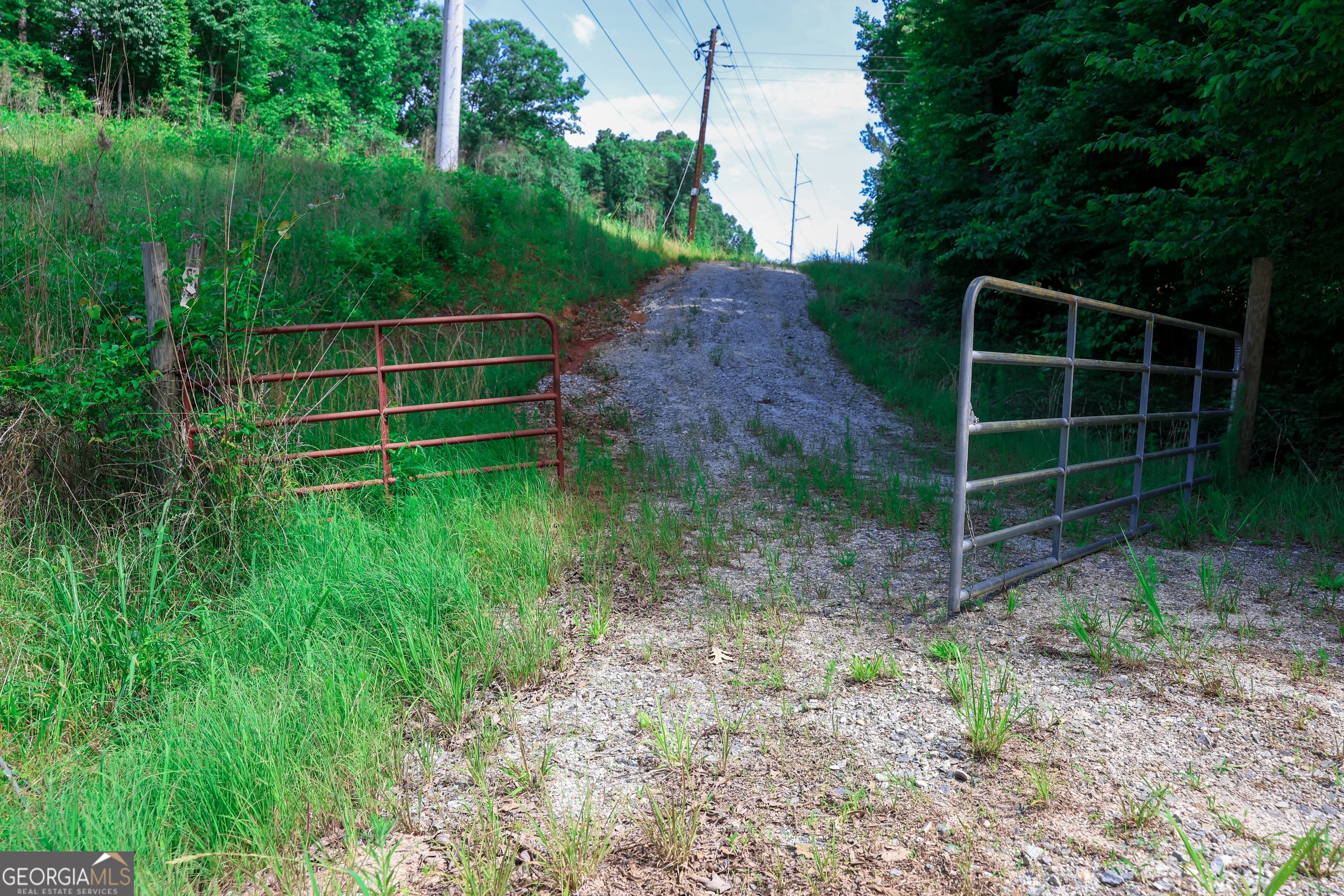 0 Highway 330 Property Photo 4