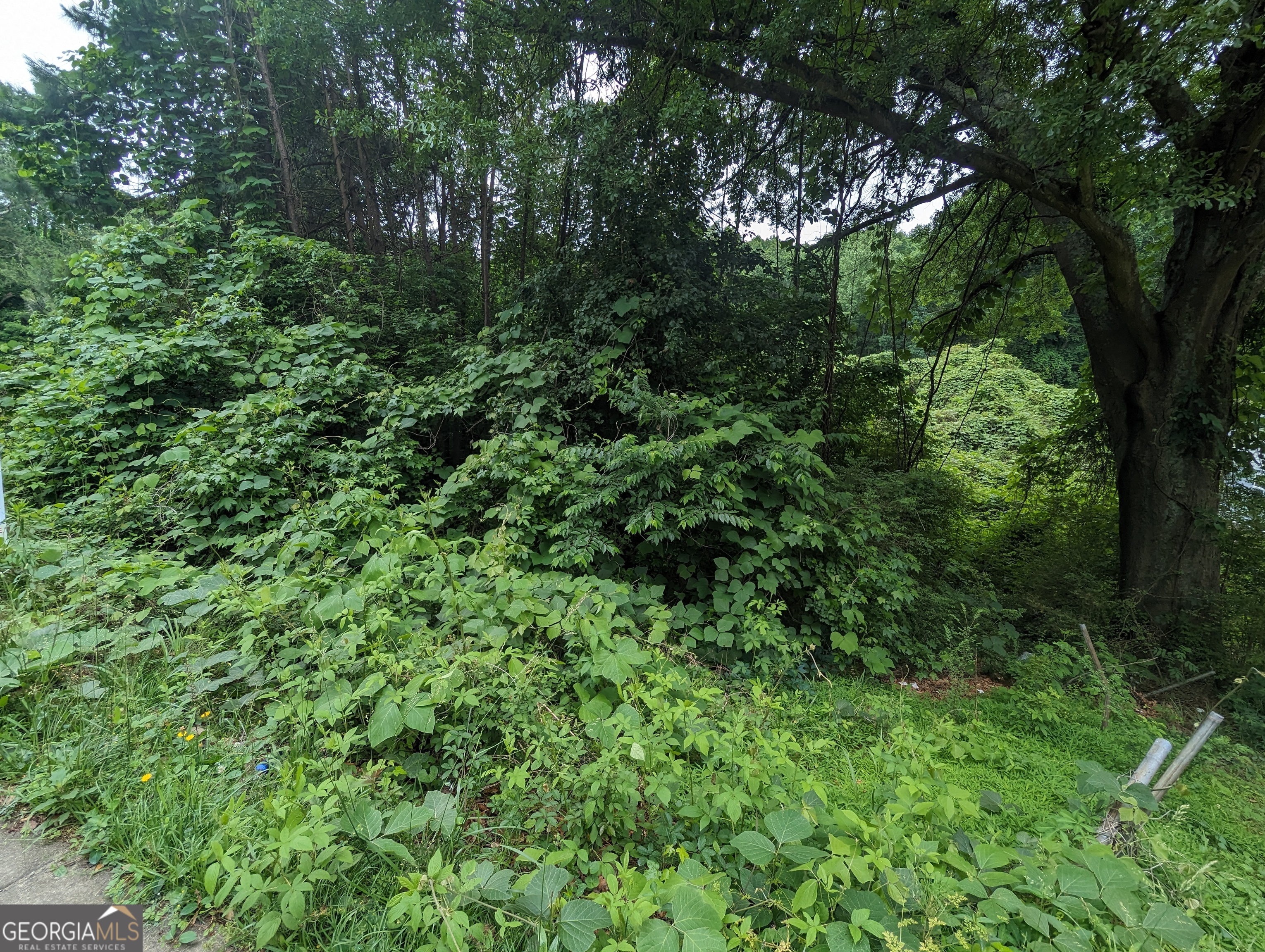 0 Dodson Drive Property Photo 3
