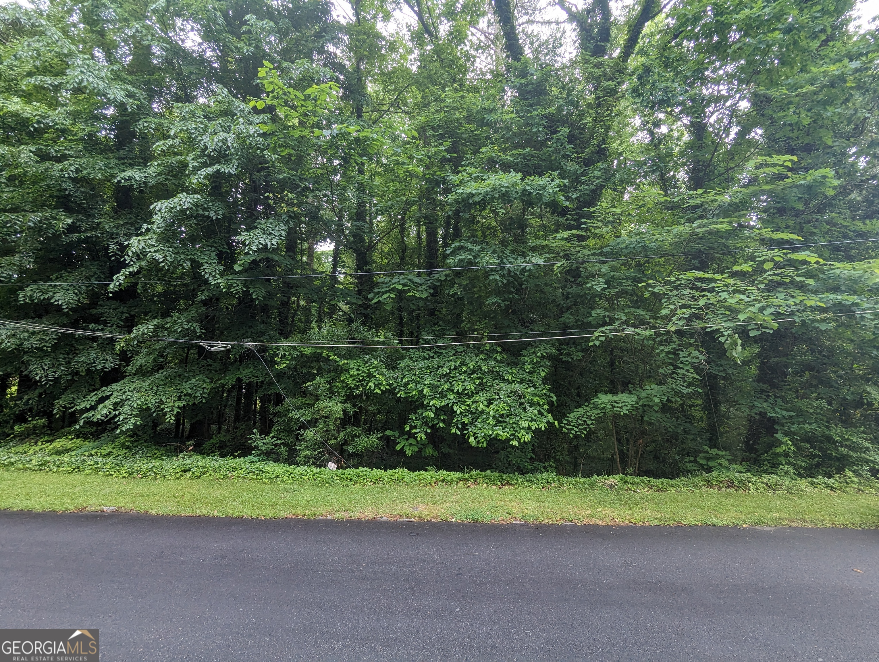 0 Dodson Drive Property Photo 8