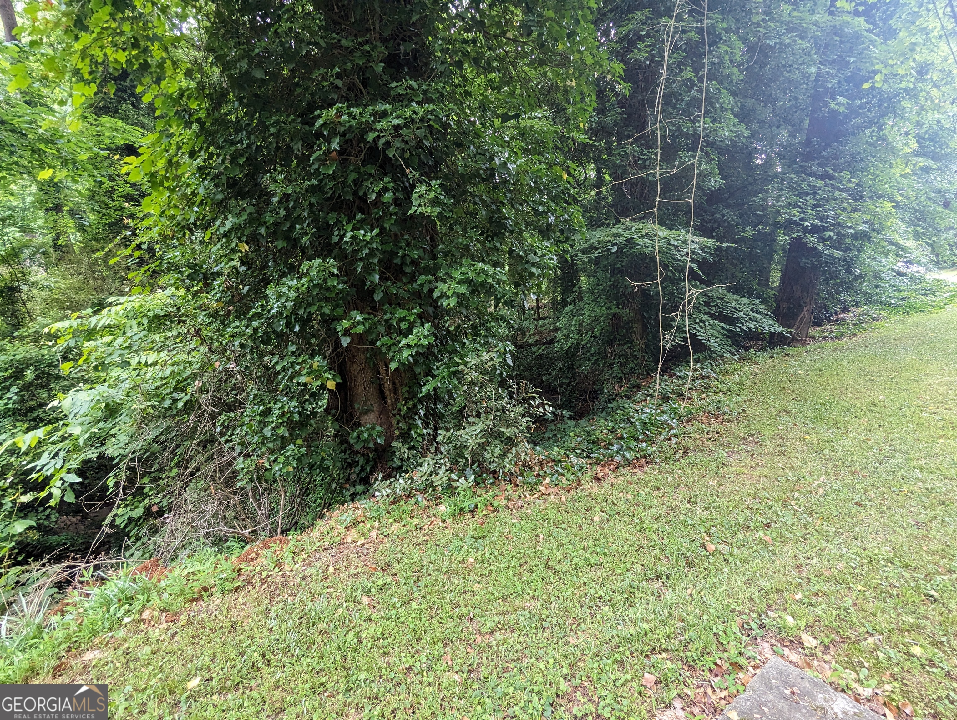 0 Dodson Drive Property Photo 16