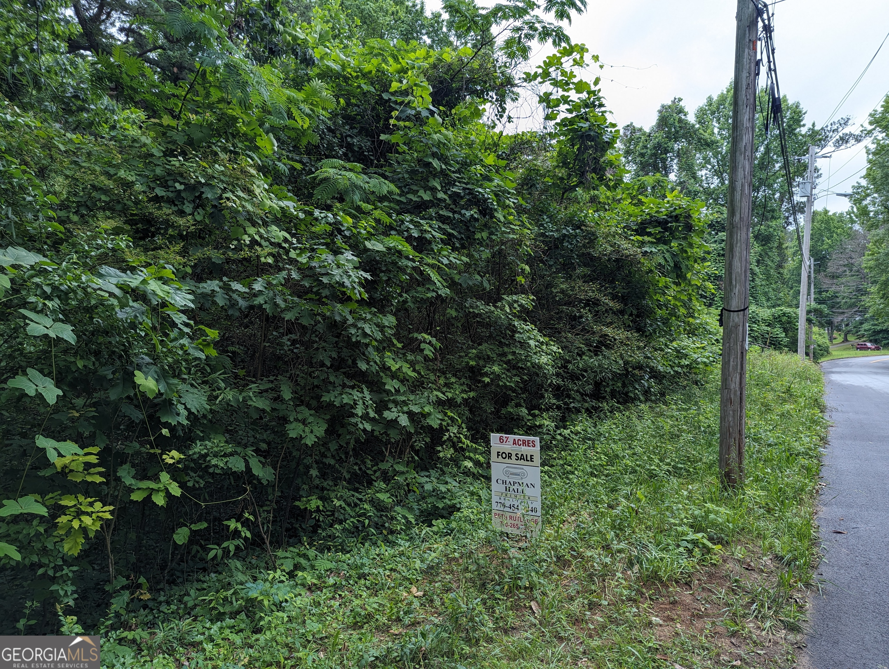 0 Dodson Drive Property Photo 19