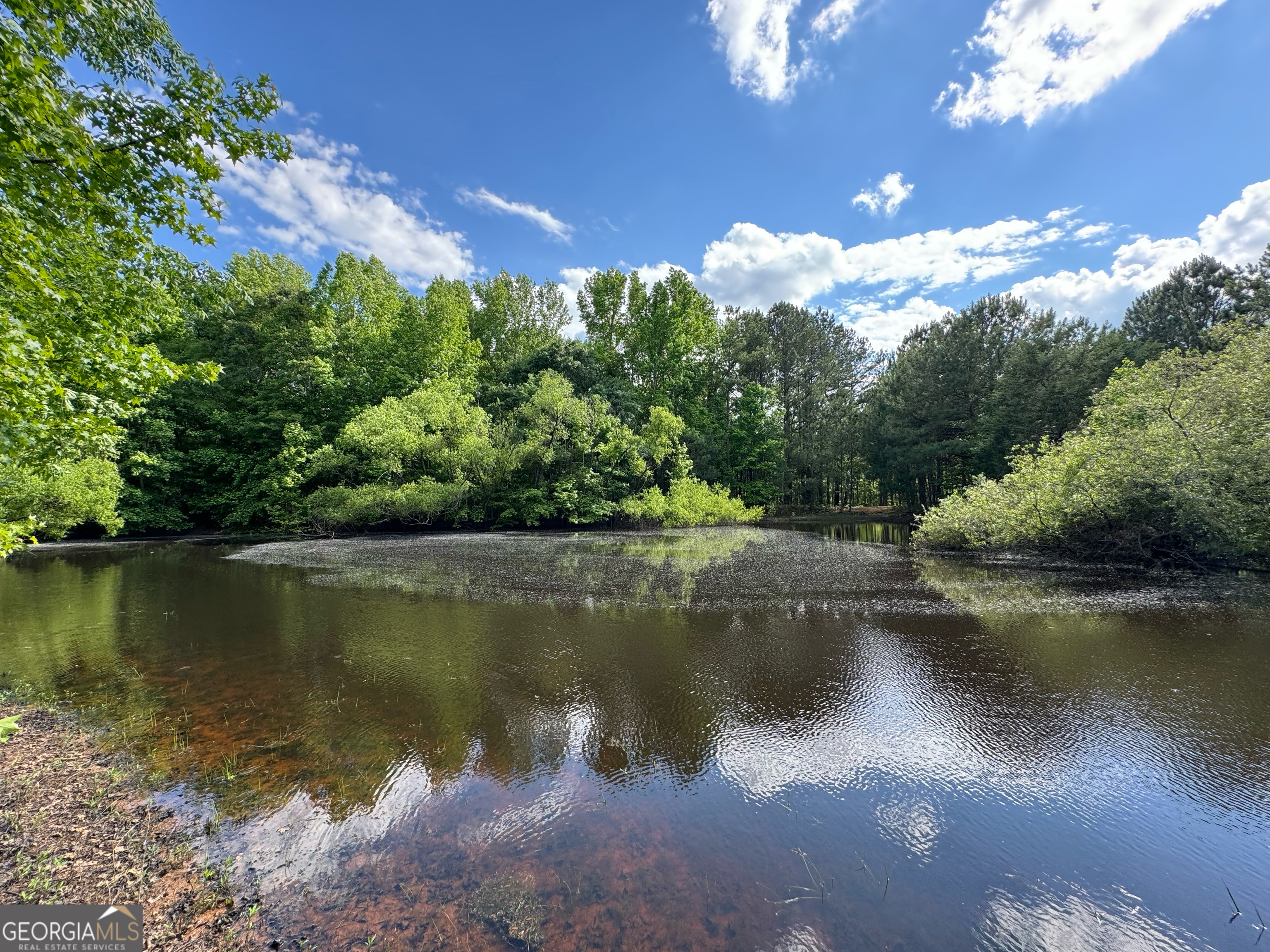 276 Stone Mill Wlk # 21 Property Photo 6