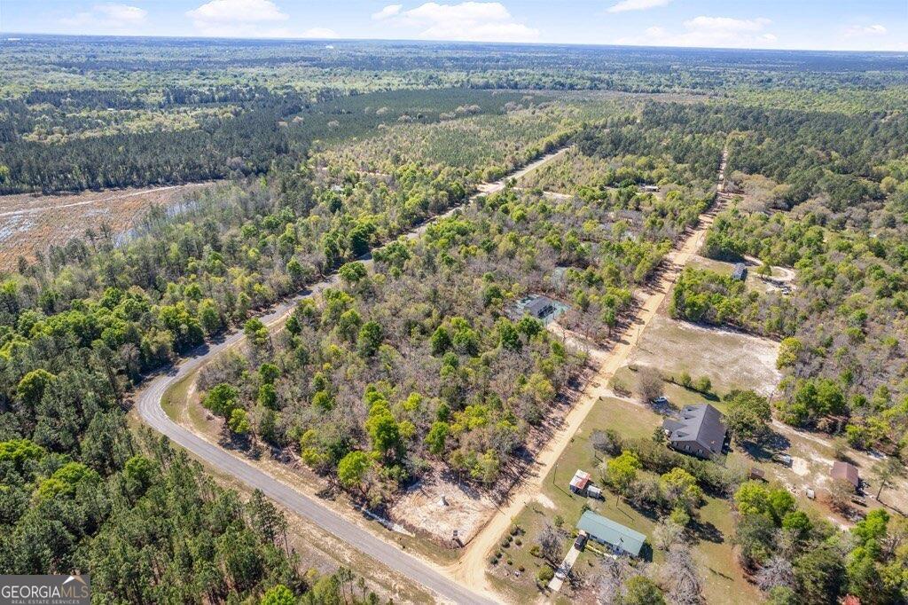 191 Ohoopee River Drive Property Photo 2
