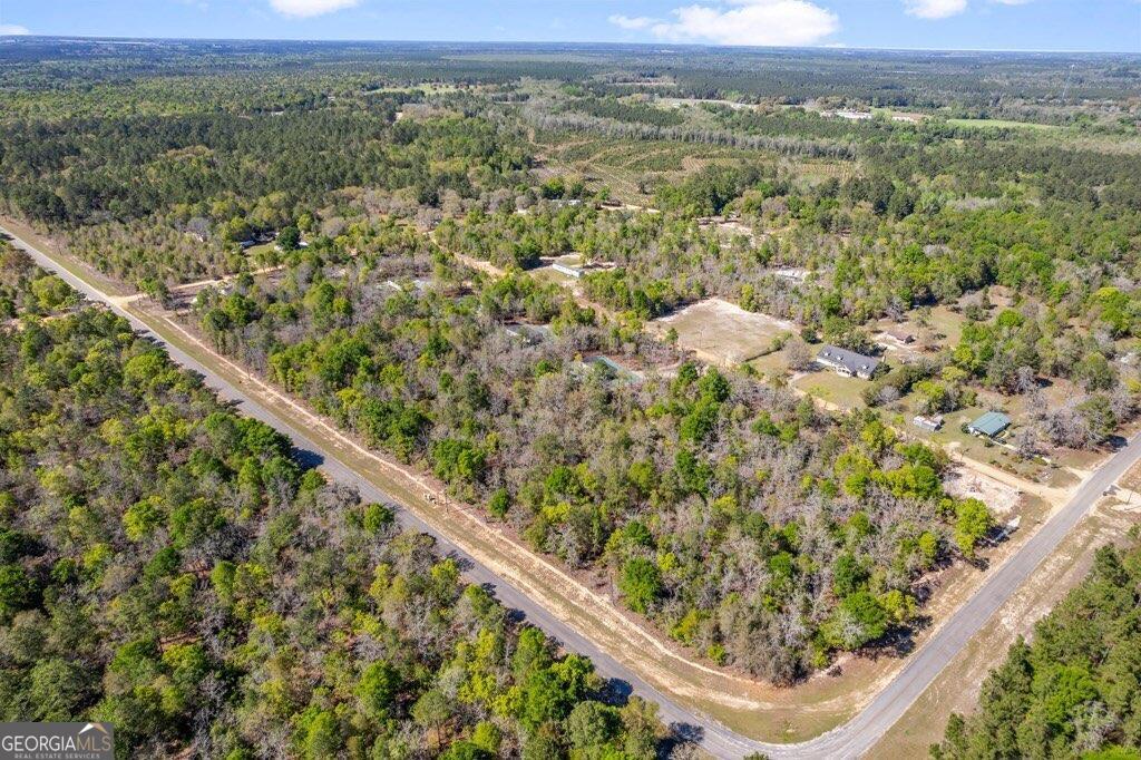 191 Ohoopee River Drive Property Photo 3