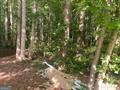 578 Bristle Cone Drive Property Photo 1