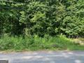 578 Bristle Cone Drive Property Photo 2