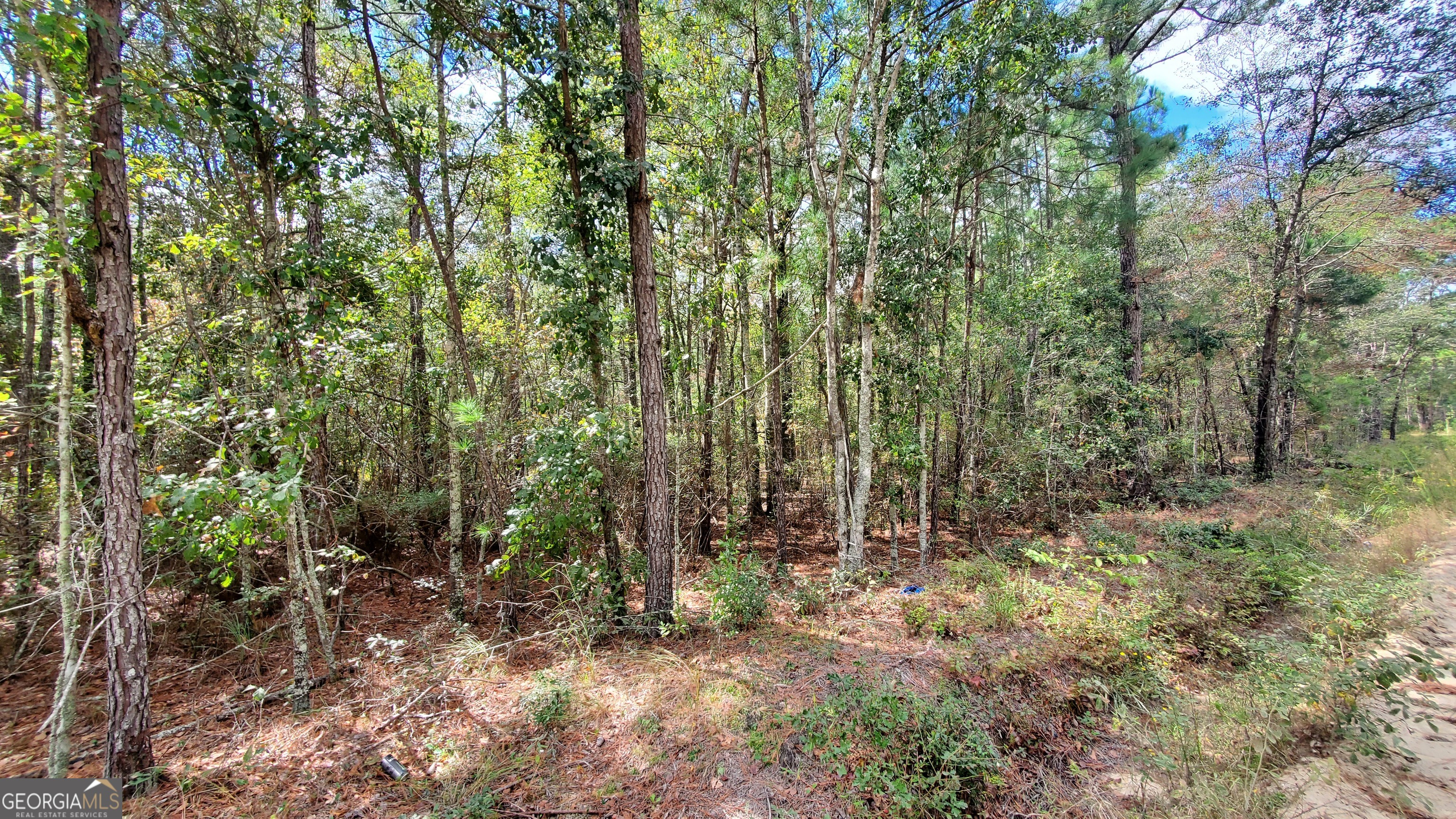 591 Victory Circle Property Photo 1