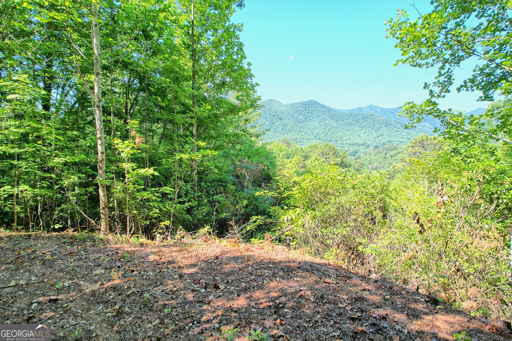 0 Raven Fork Trail Property Photo