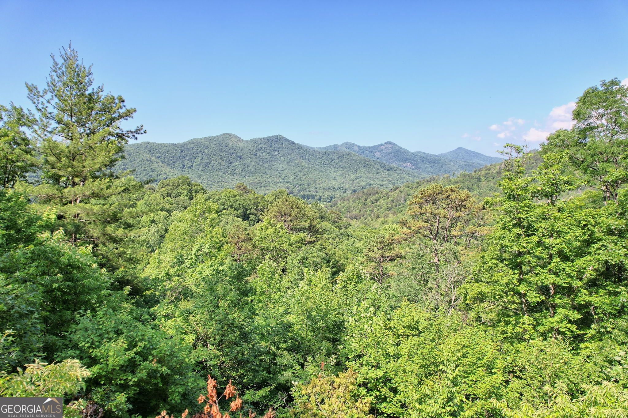 0 Raven Fork Trail Property Photo 2