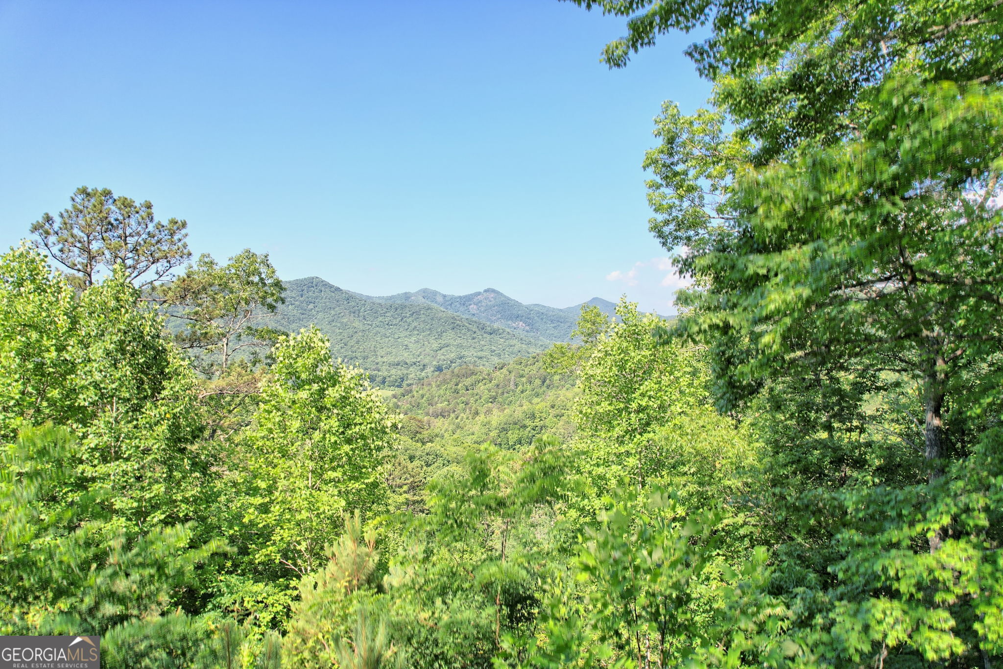 0 Raven Fork Trail Property Photo 4