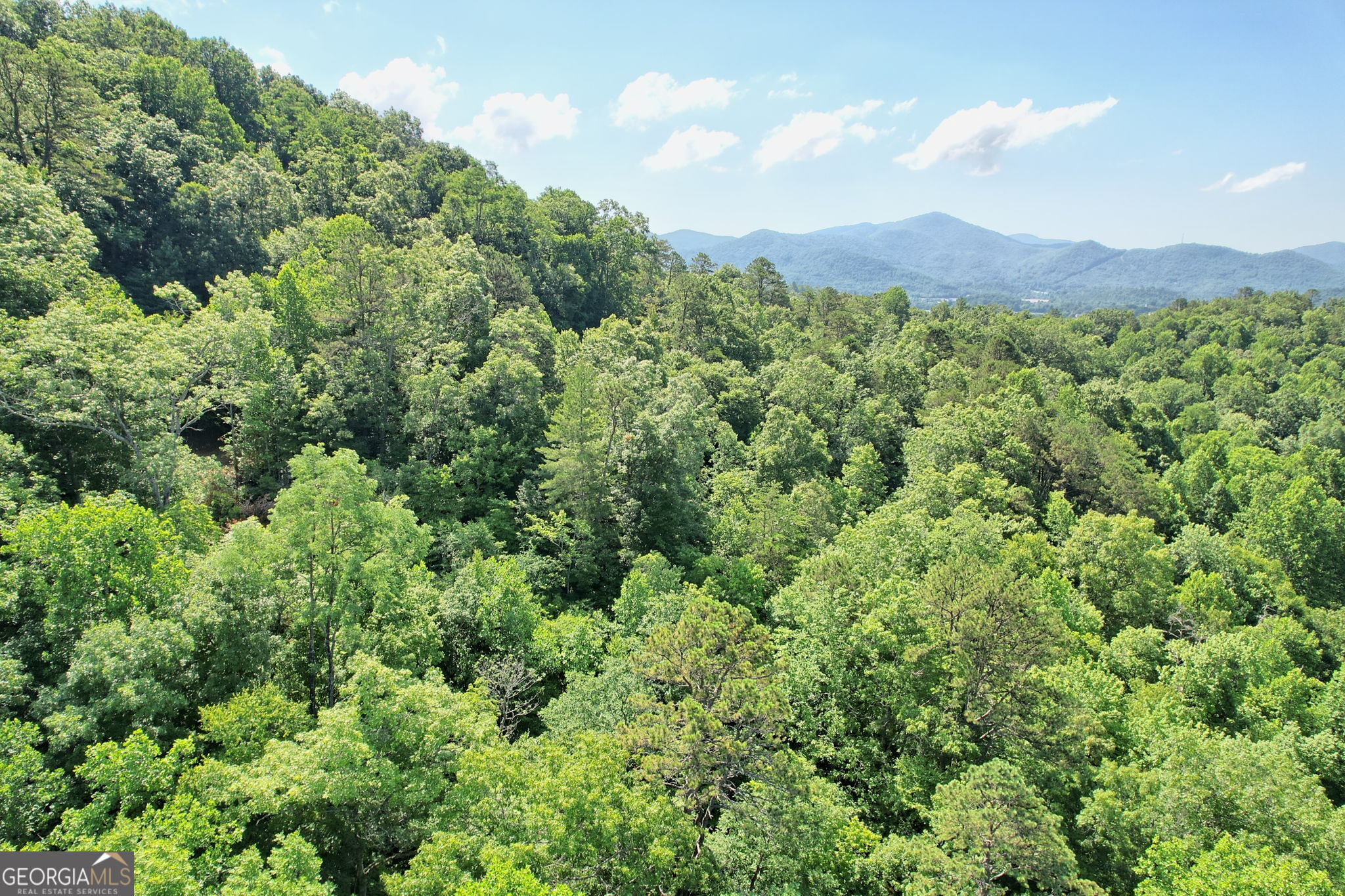 0 Raven Fork Trail Property Photo 5