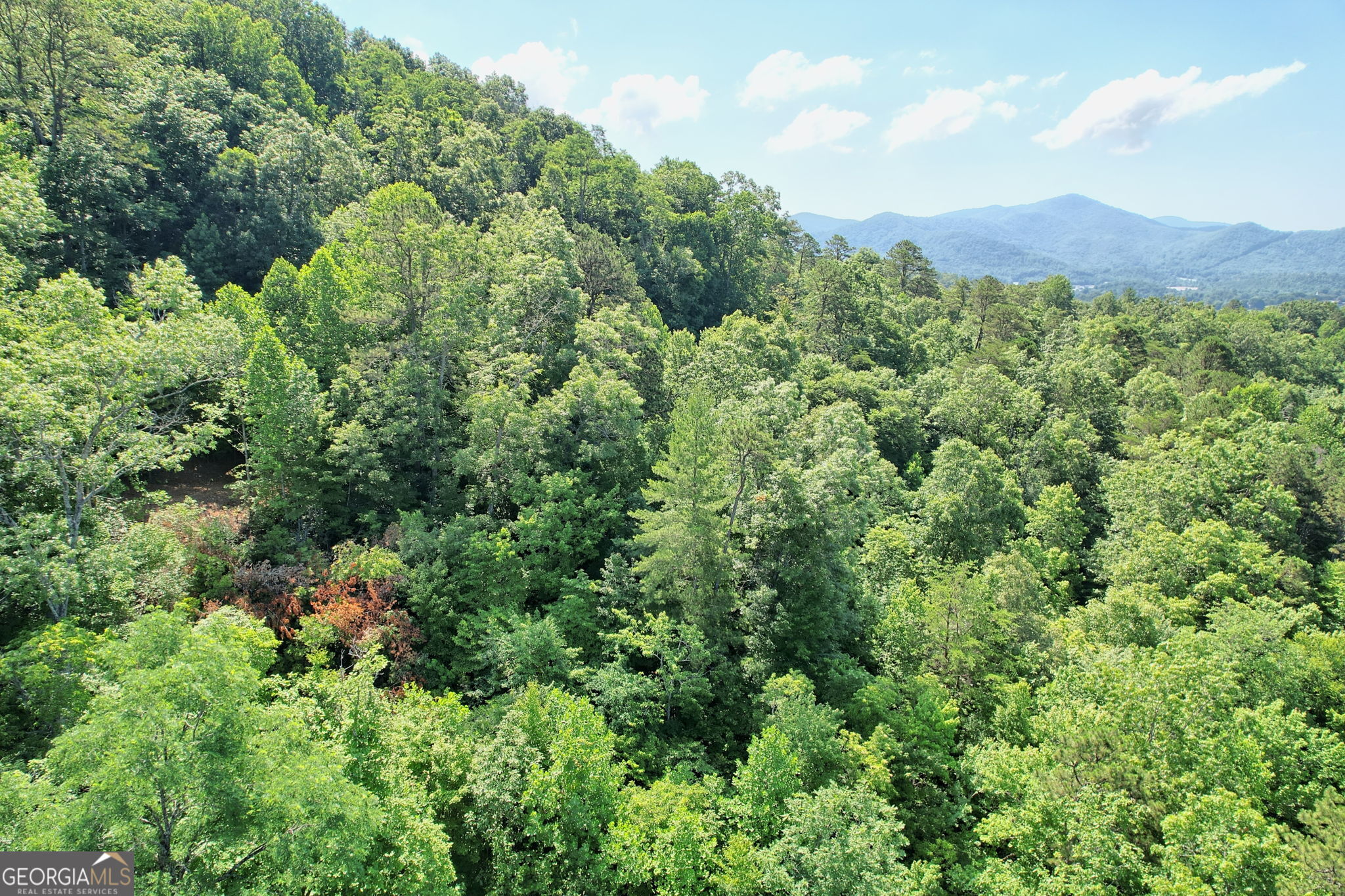0 Raven Fork Trail Property Photo 6