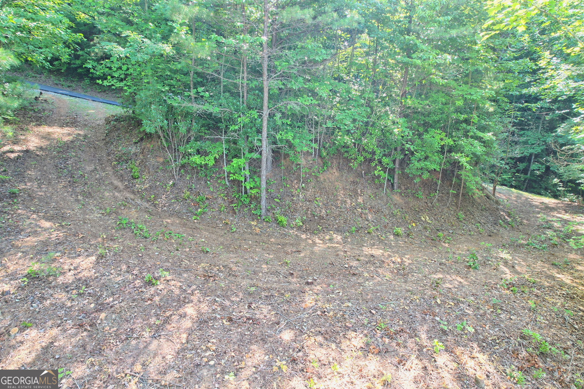 0 Raven Fork Trail Property Photo 7