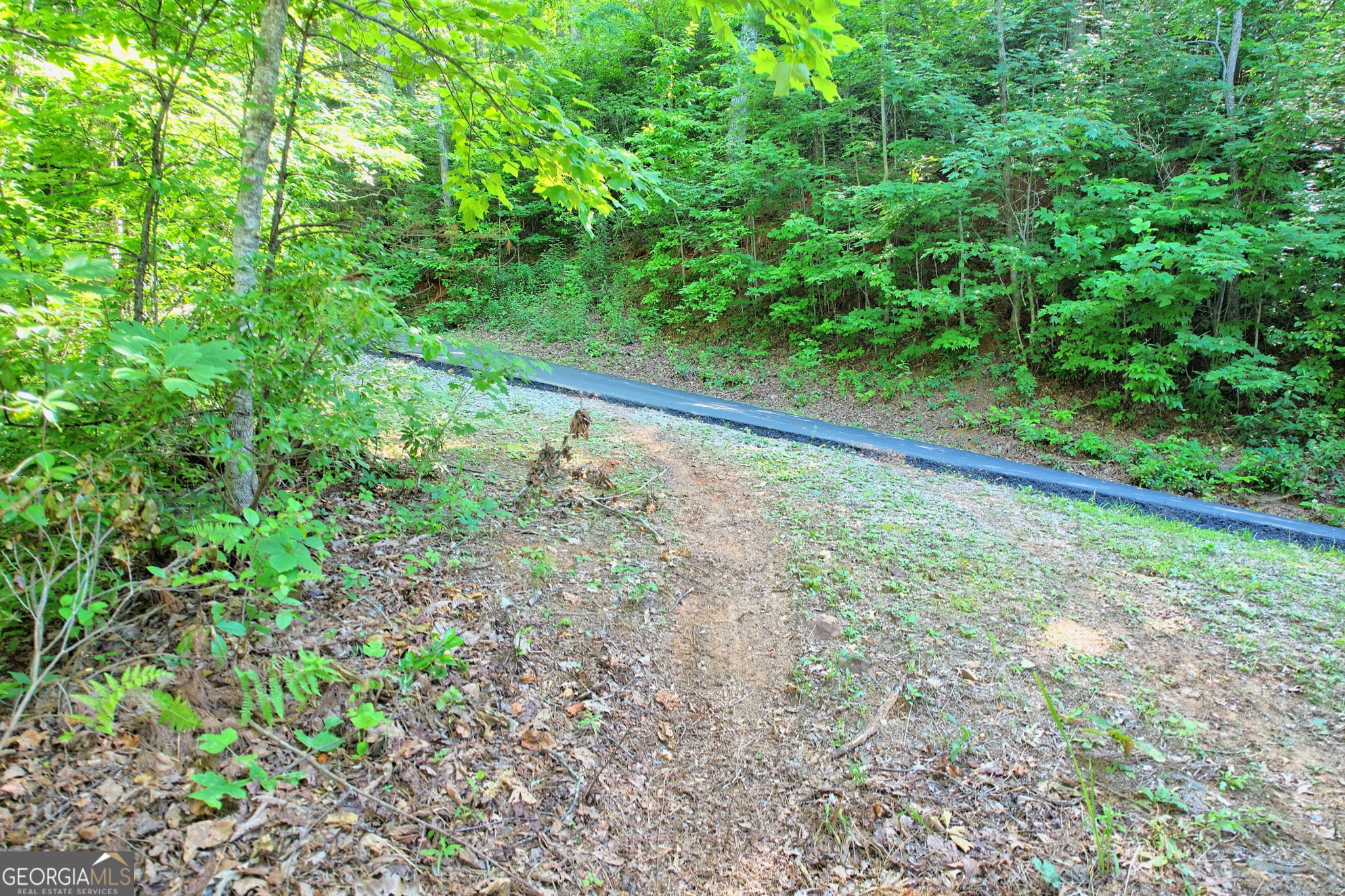 0 Raven Fork Trail Property Photo 8