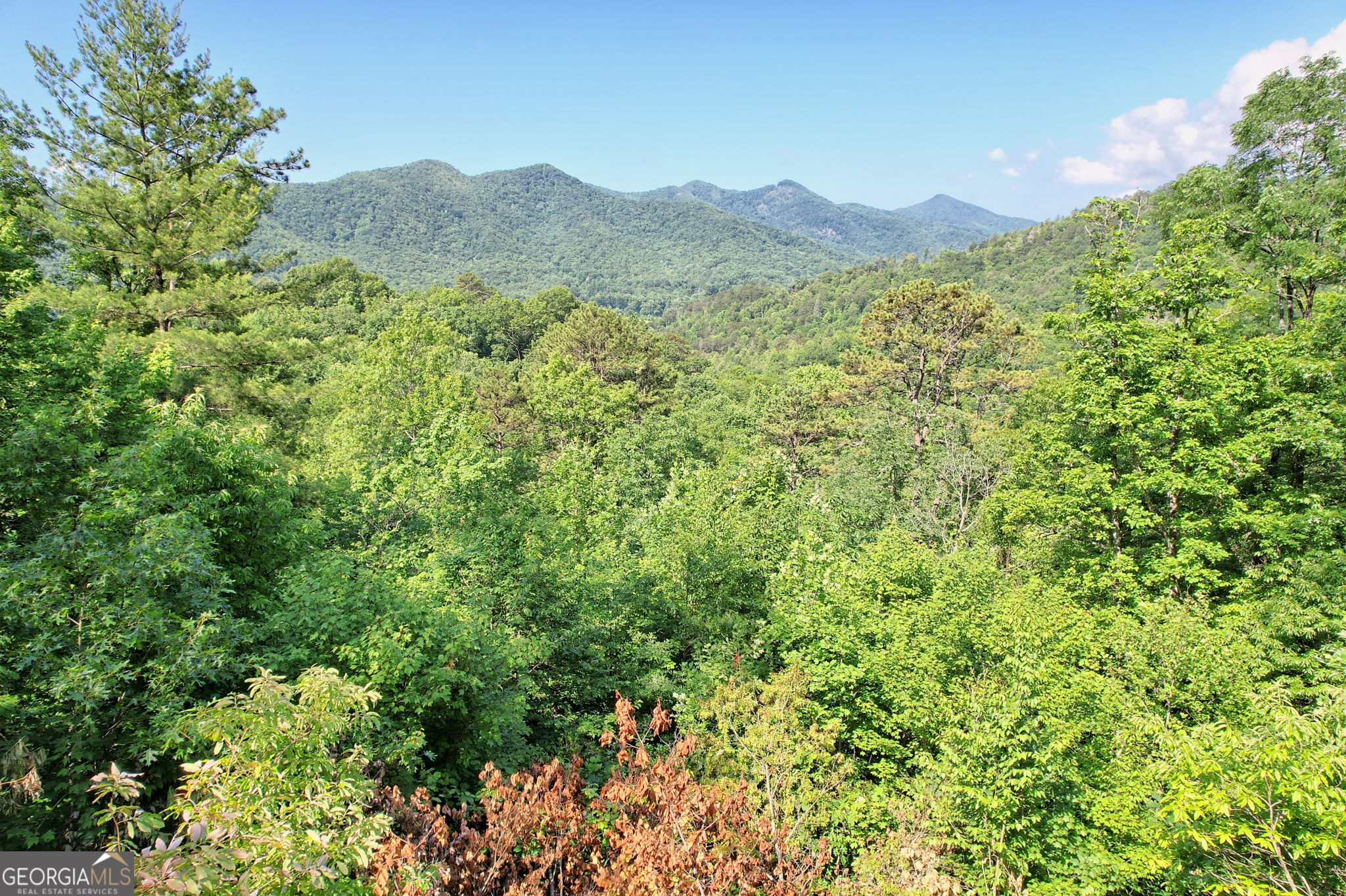 0 Raven Fork Trail Property Photo 9