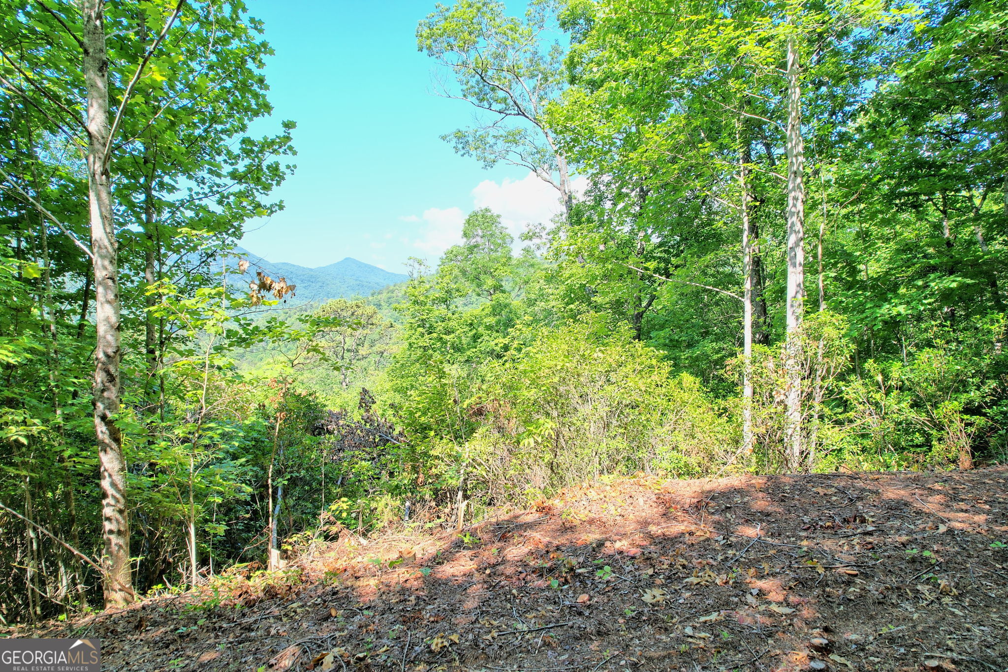 0 Raven Fork Trail Property Photo 11