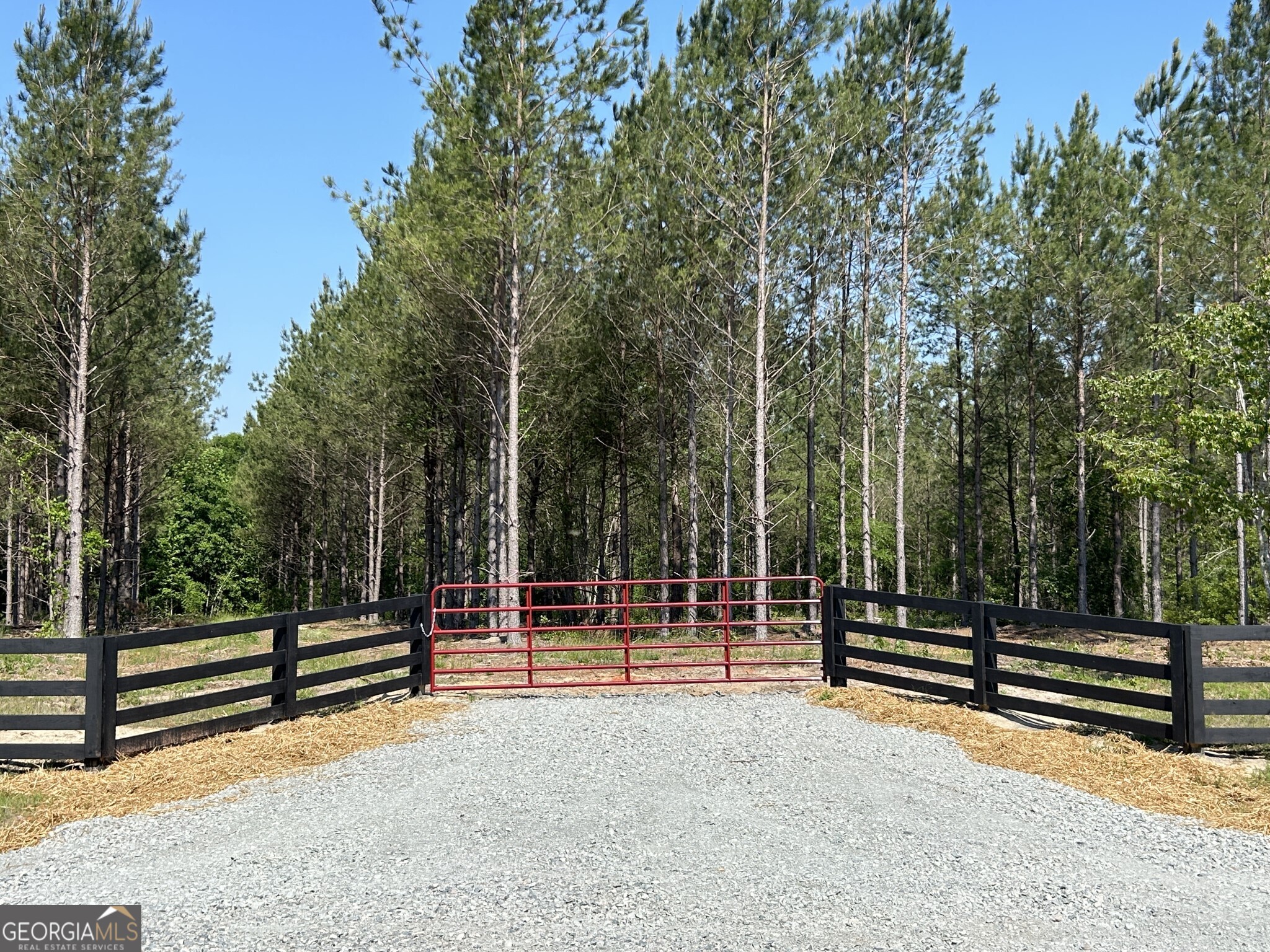 0 Dewey Thomas Road Lot 12 Property Photo