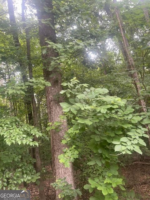 0 Butner Road Property Photo 5