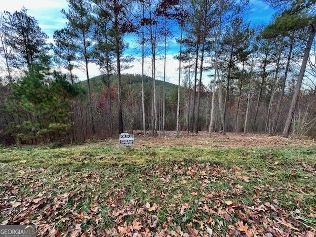 0 Ridge Peak View Lot 62 Property Photo 1