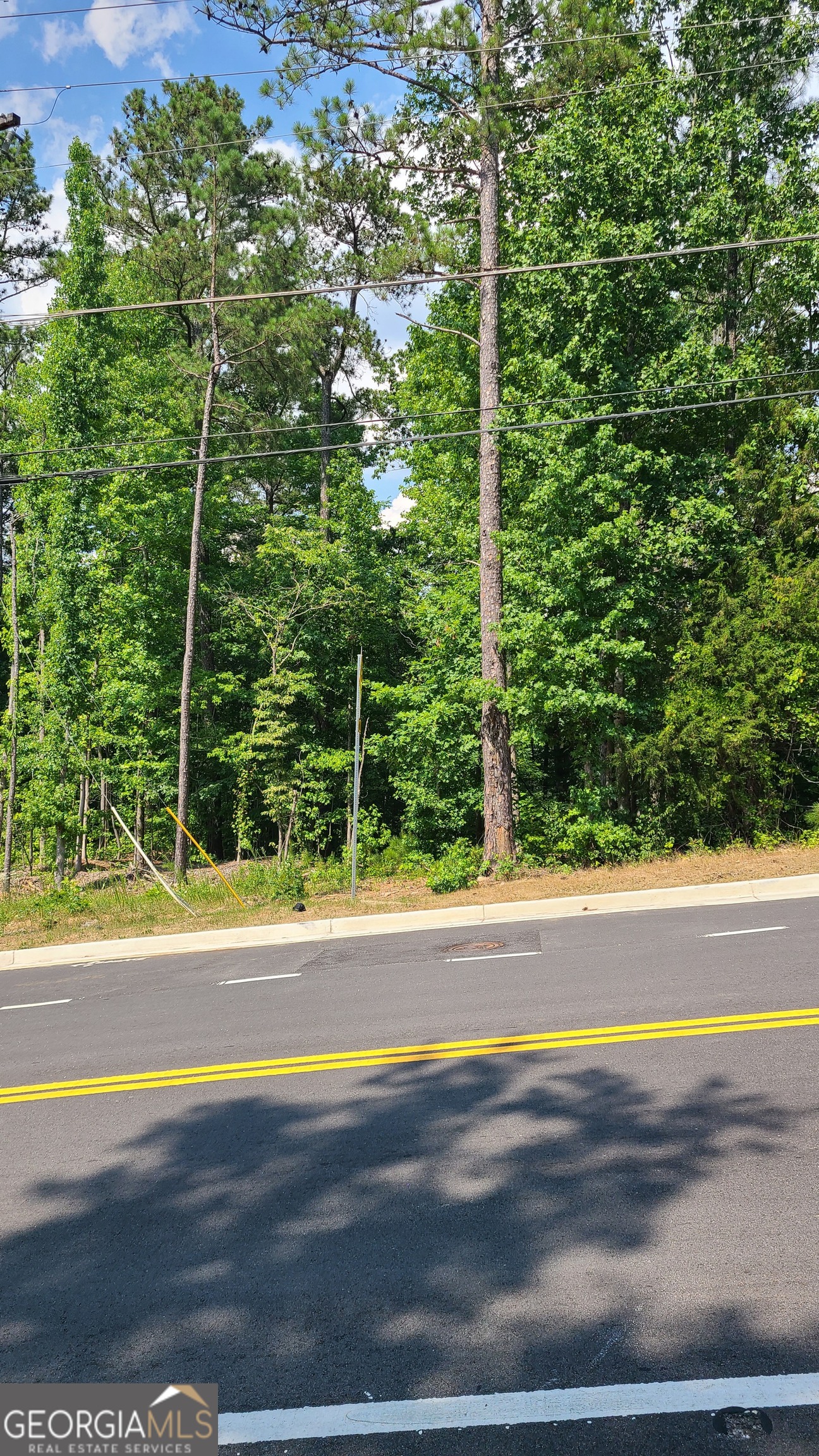 0 Stewart Mill Road Property Photo 3