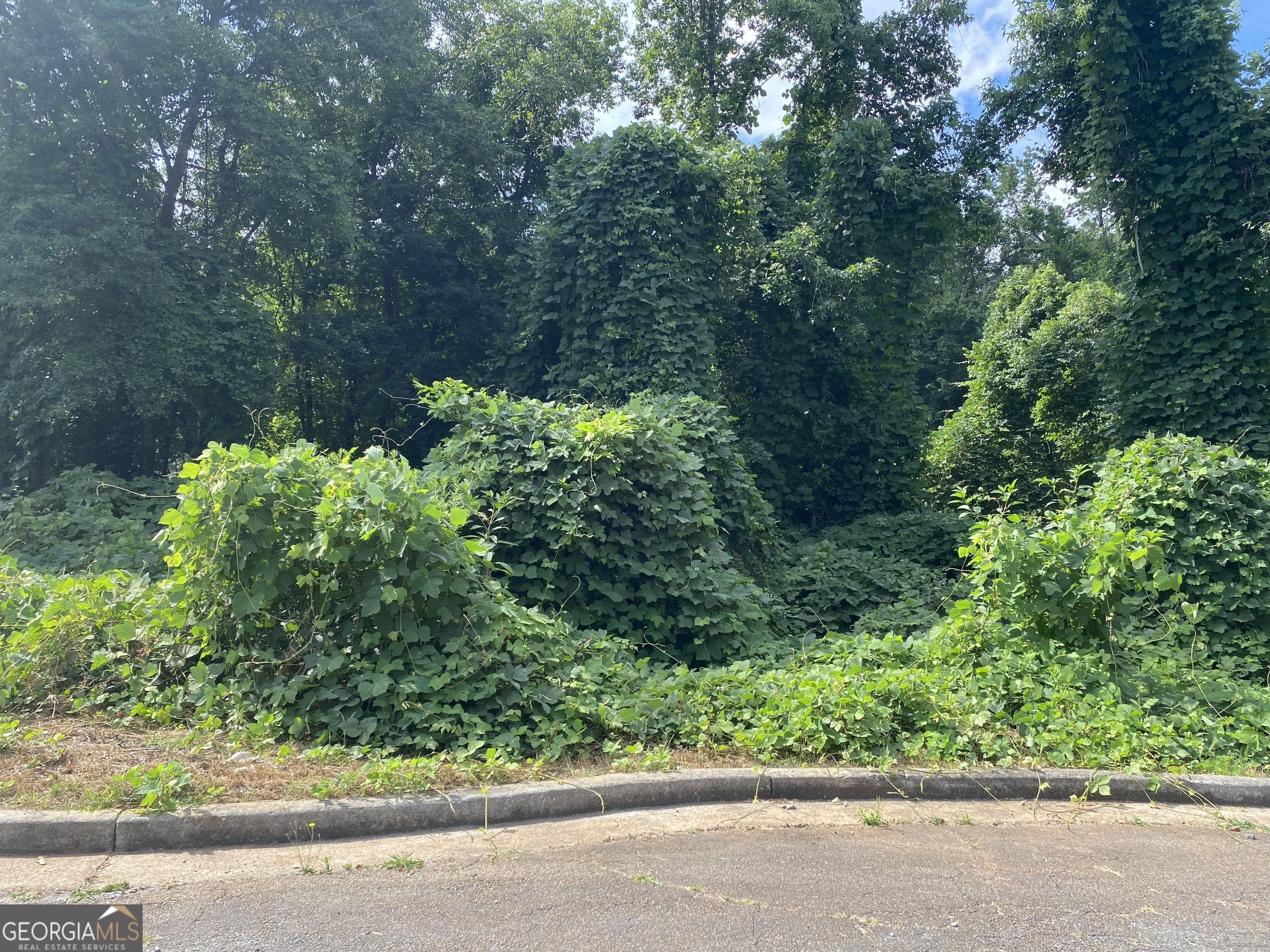 0 Hannah Court Lot 13 Property Photo 1