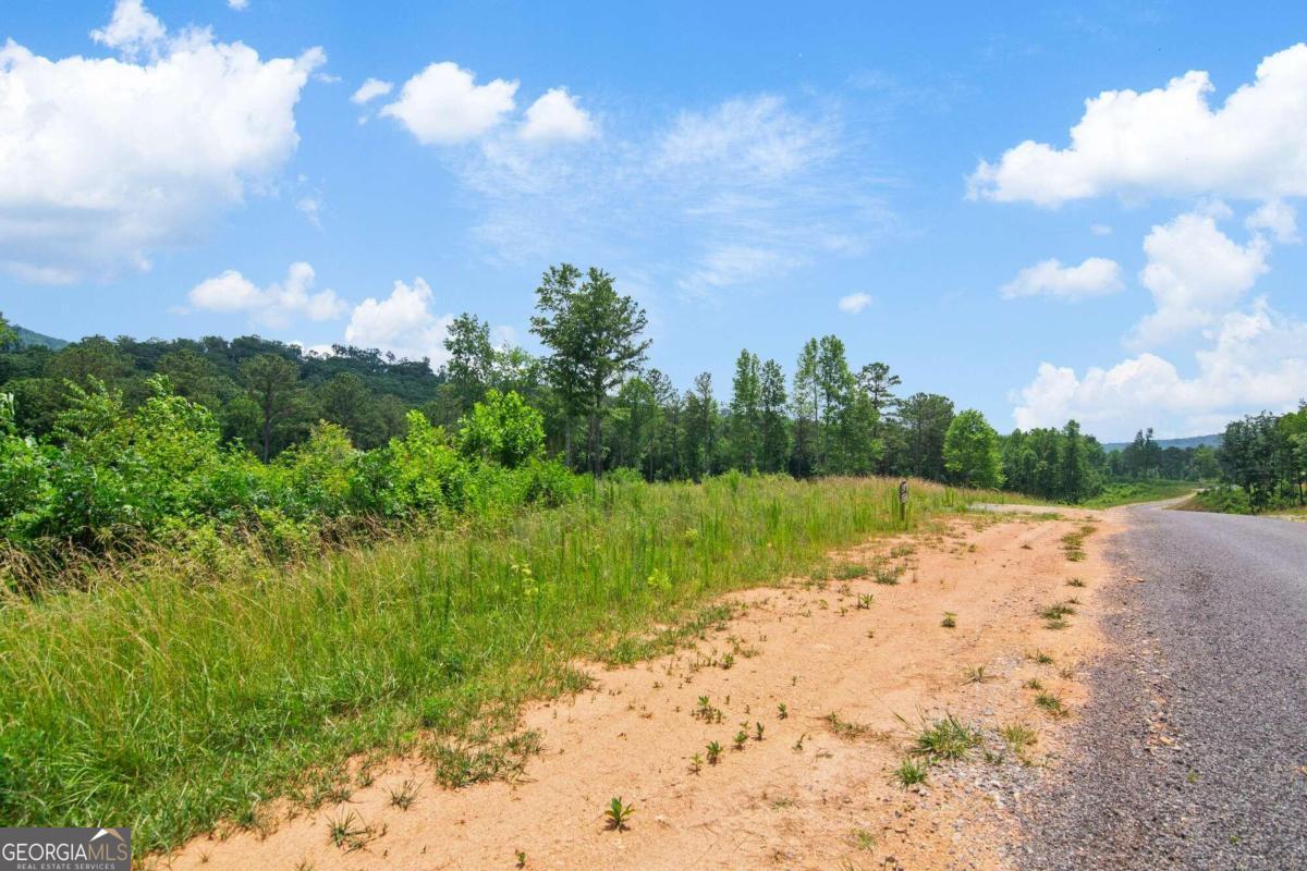 Lot 196 Oak Park Drive Property Photo 2