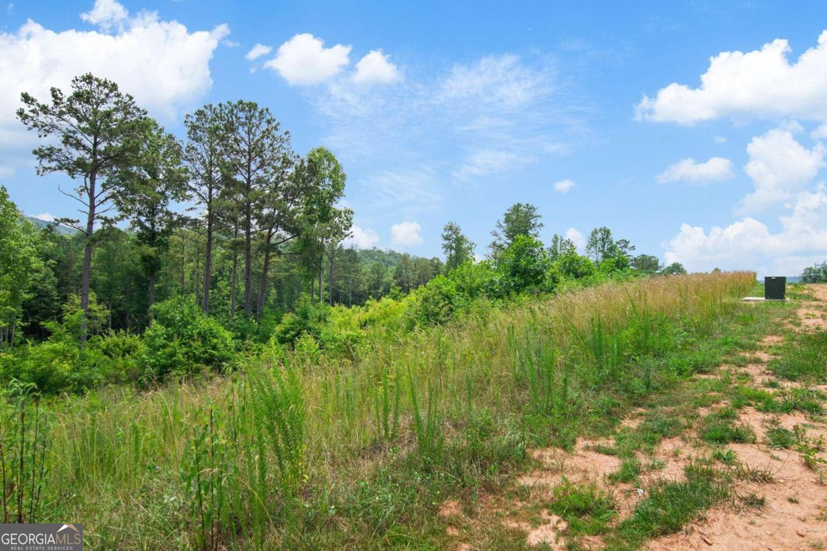 Lot 196 Oak Park Drive Property Photo 3