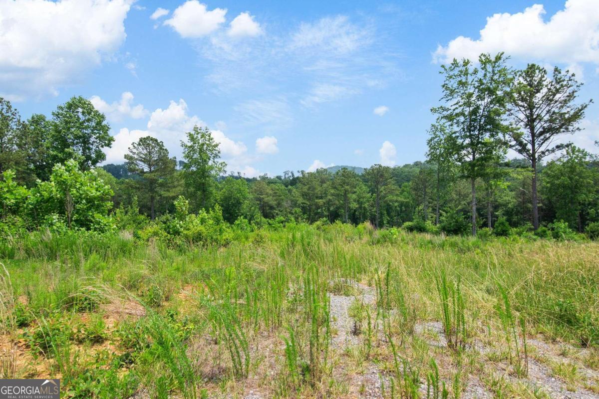 Lot 196 Oak Park Drive Property Photo 4