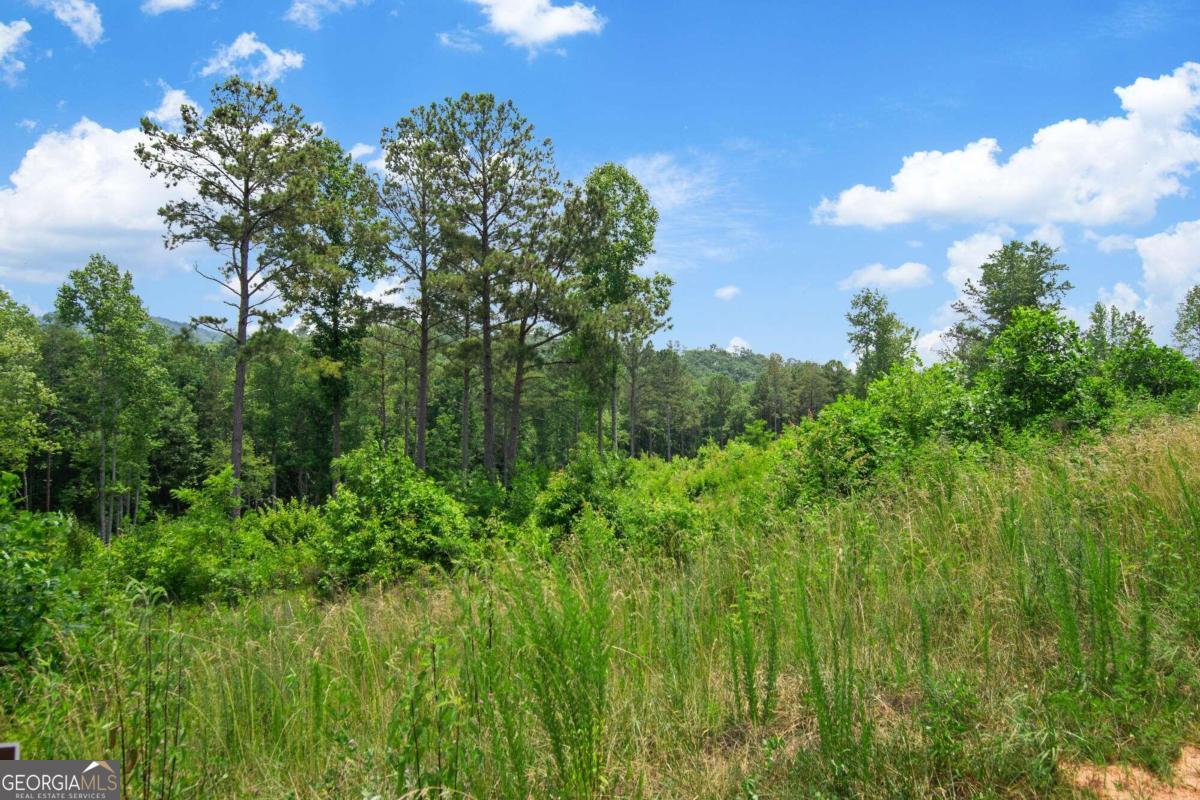 Lot 196 Oak Park Drive Property Photo 5